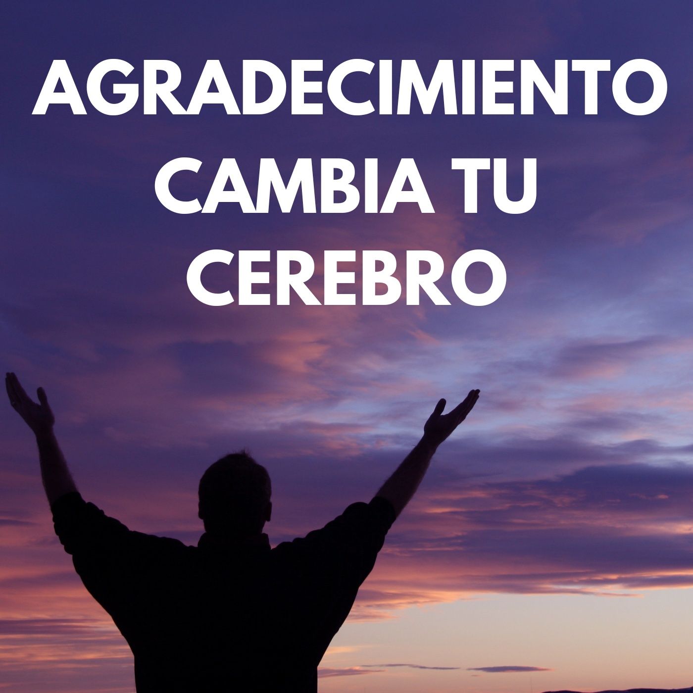 12 Haz Del AGRADECIMIENTO o GRATITUD Una Práctica Diaria De Esta Manera. El AGUA Es Lo Ideal episode artwork