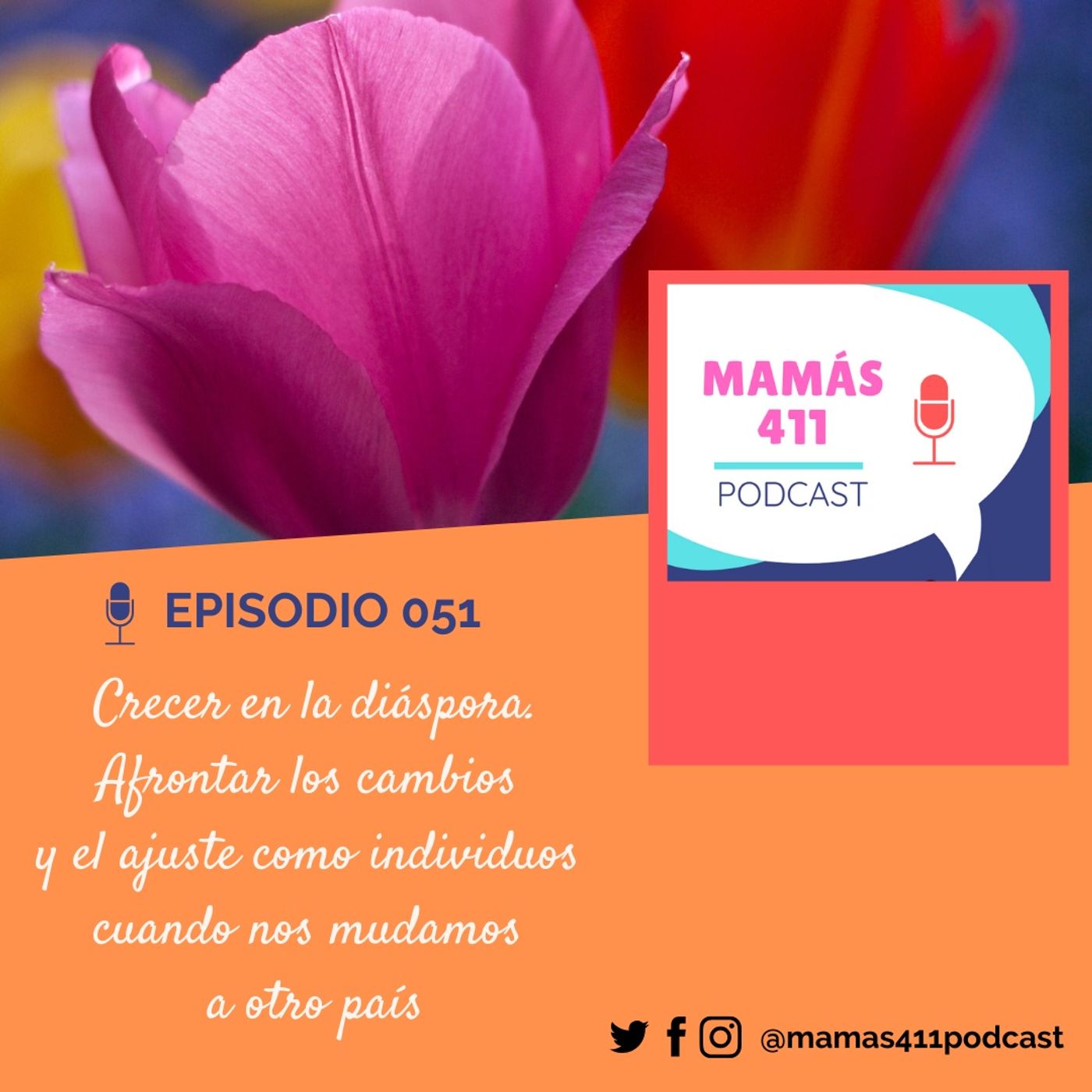 Mamas 411 Podcast