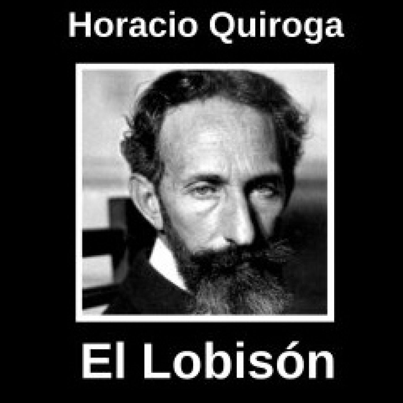 SONORUM LITERALIA