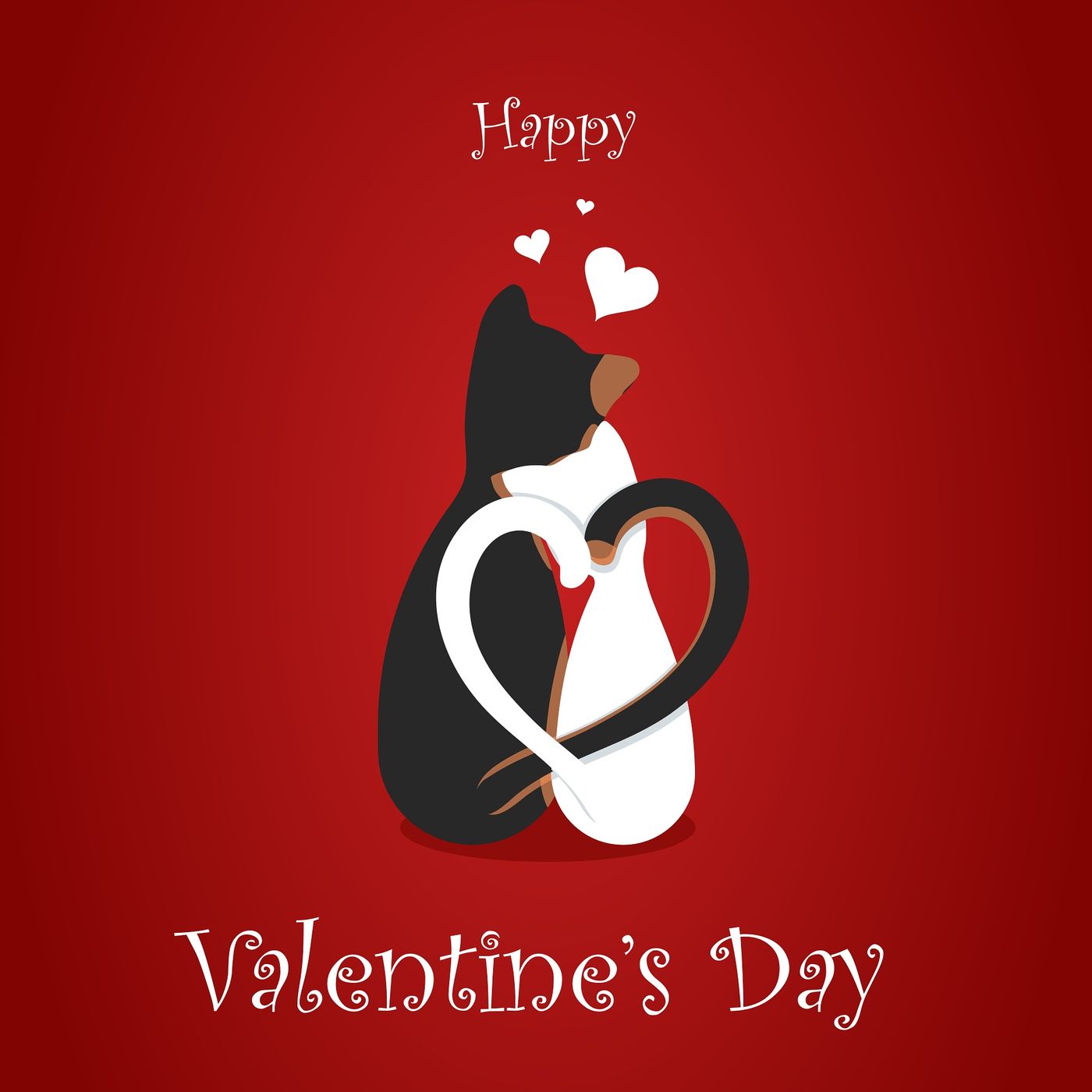 Buon San Valentino a tutti con tradizioni e curiosità episode artwork