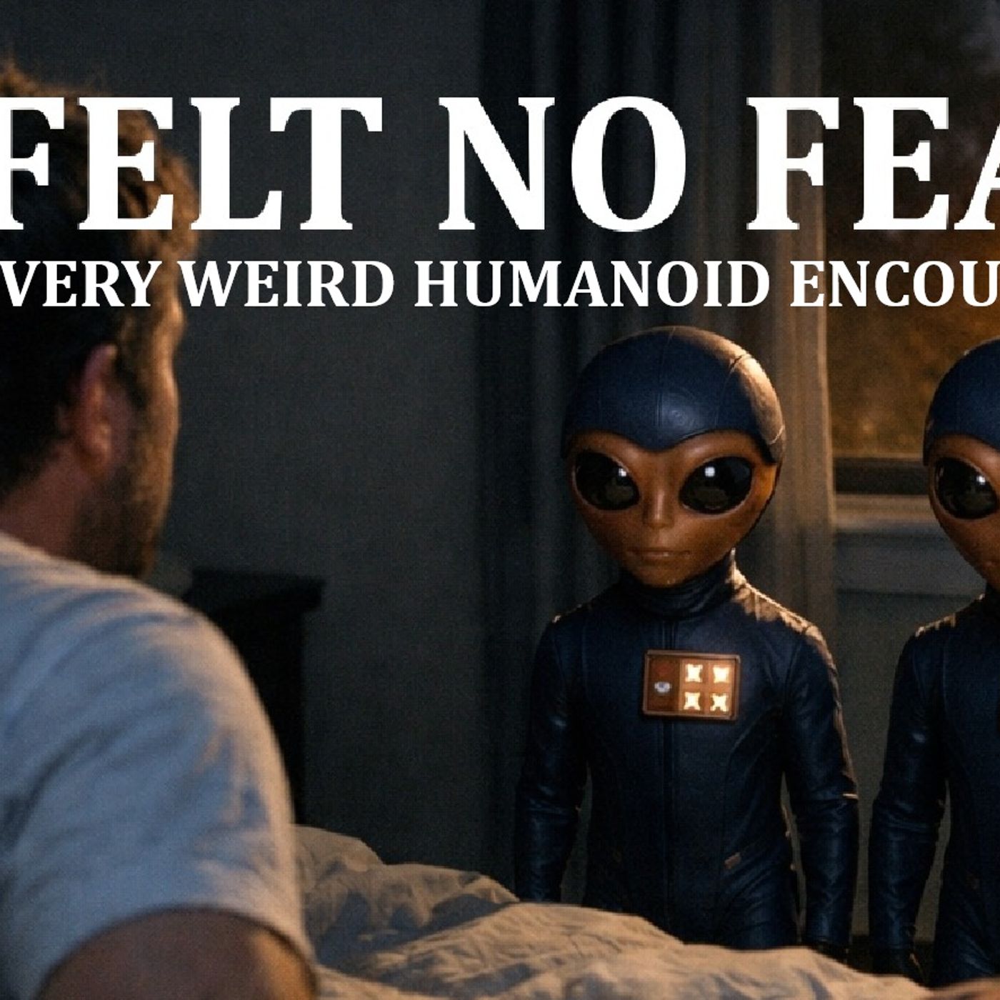 I Felt No Fear: Ten Very Weird Humanoid Encounters