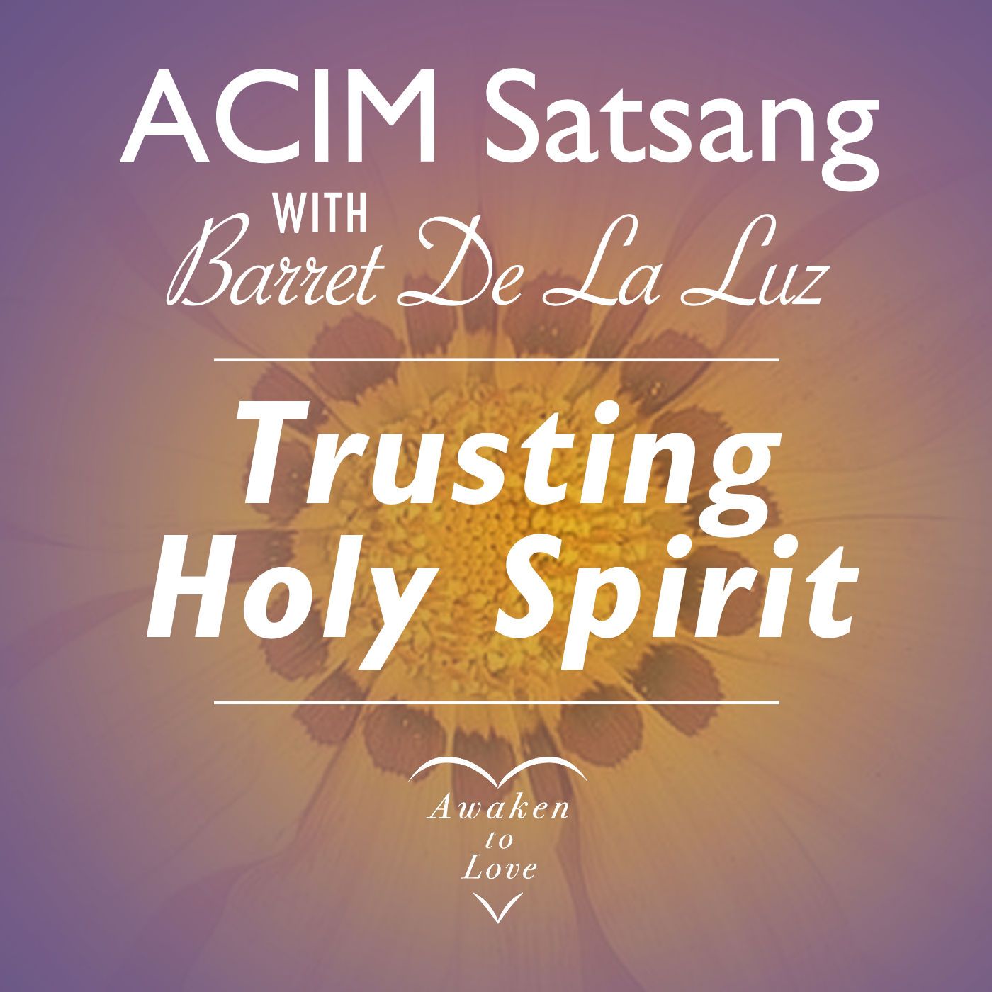 ACIM Satsang with Barret De La Luz, Trusting Holy Spirit