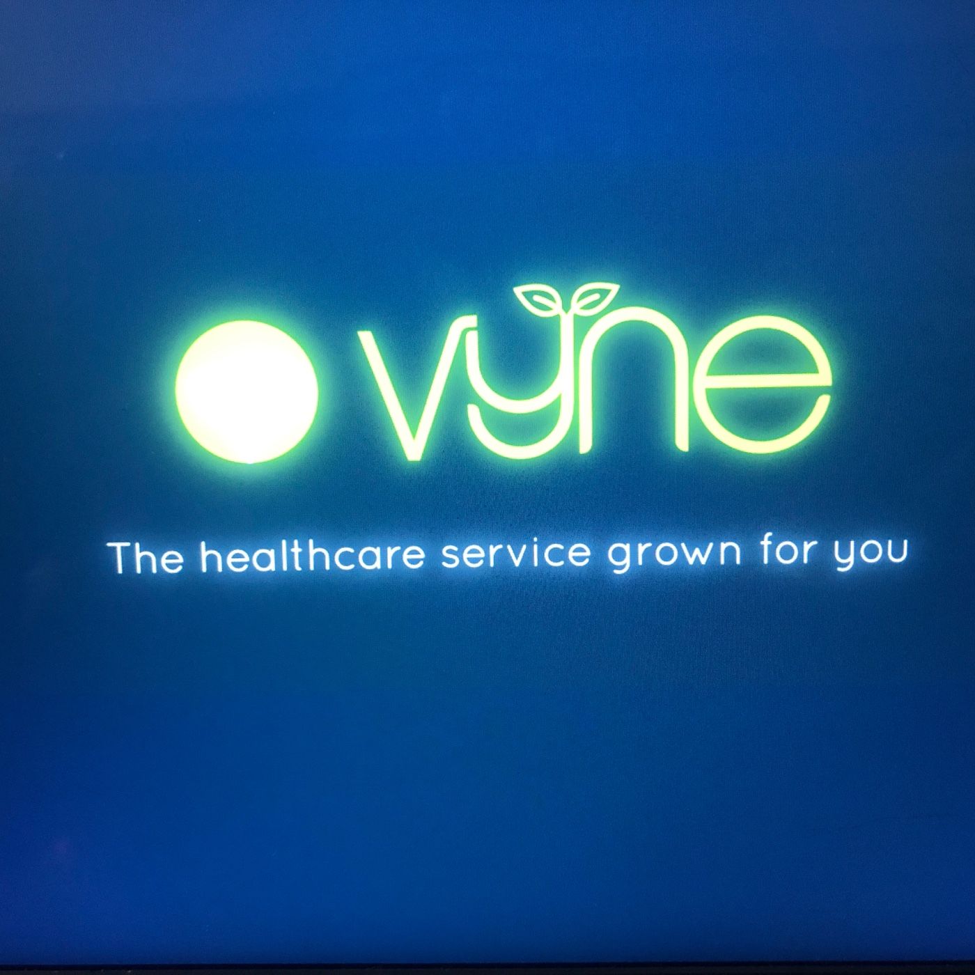 The Vyne story