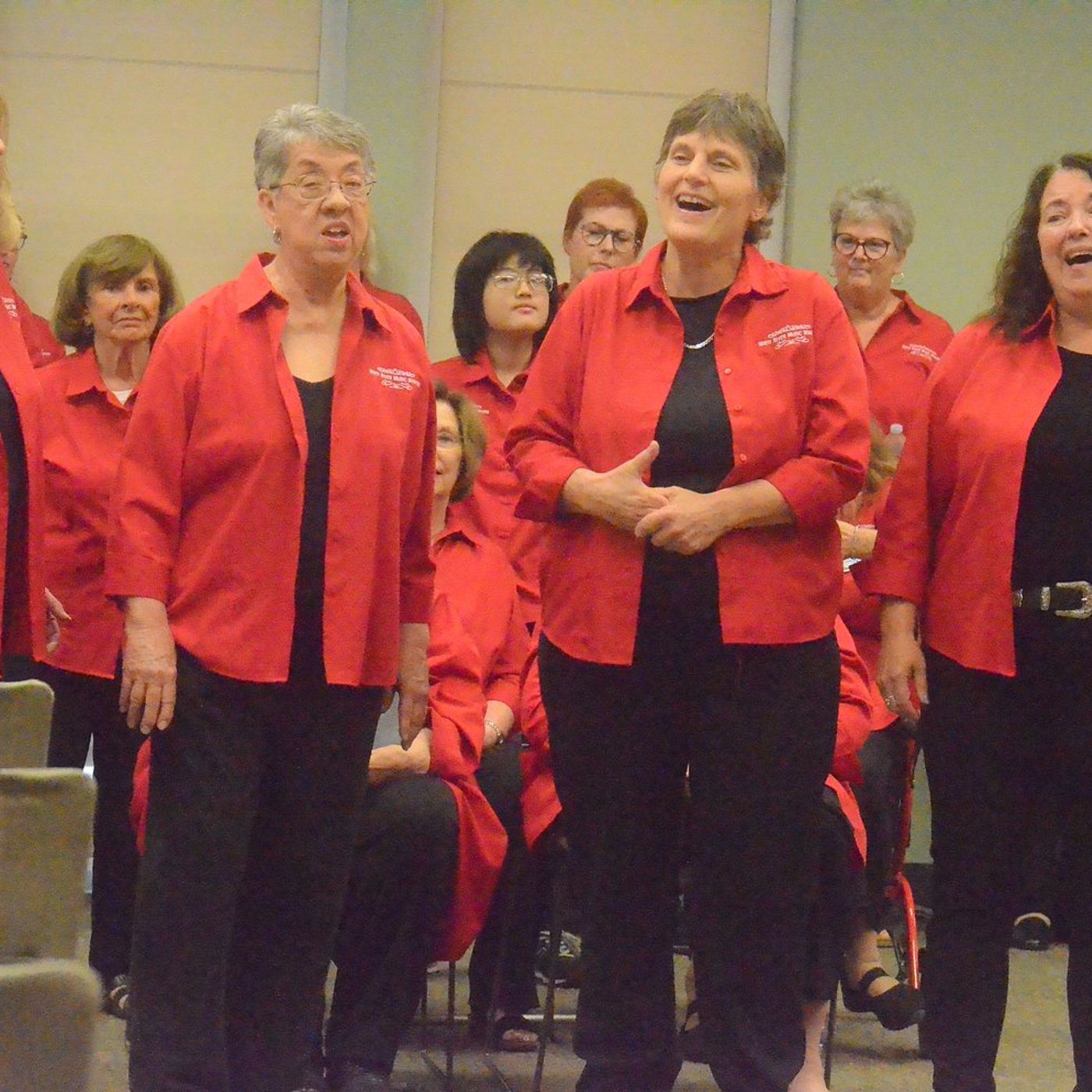 Patriotic concert performance to be held at Yorkville Public Library Saturday episode artwork