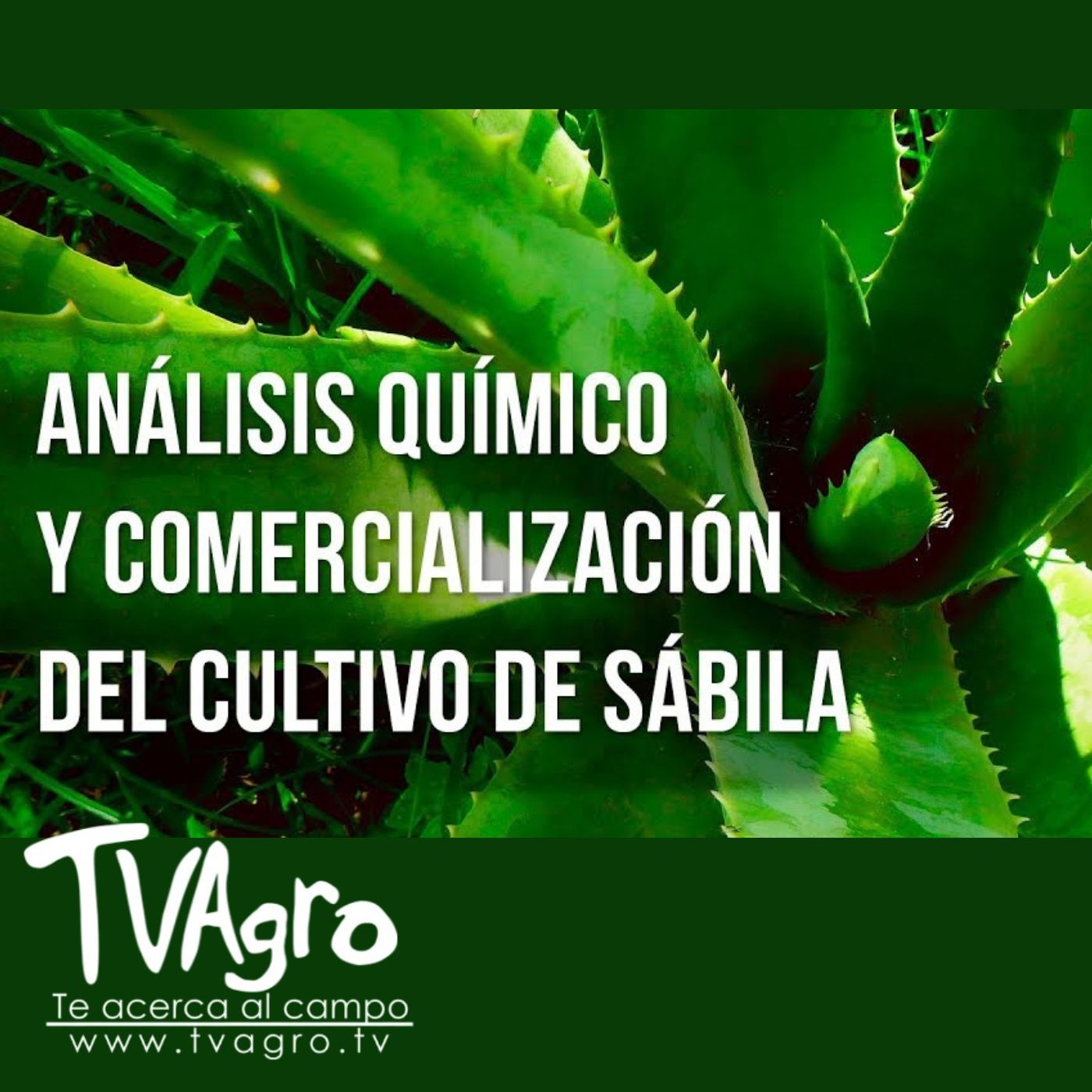 TV AGRO