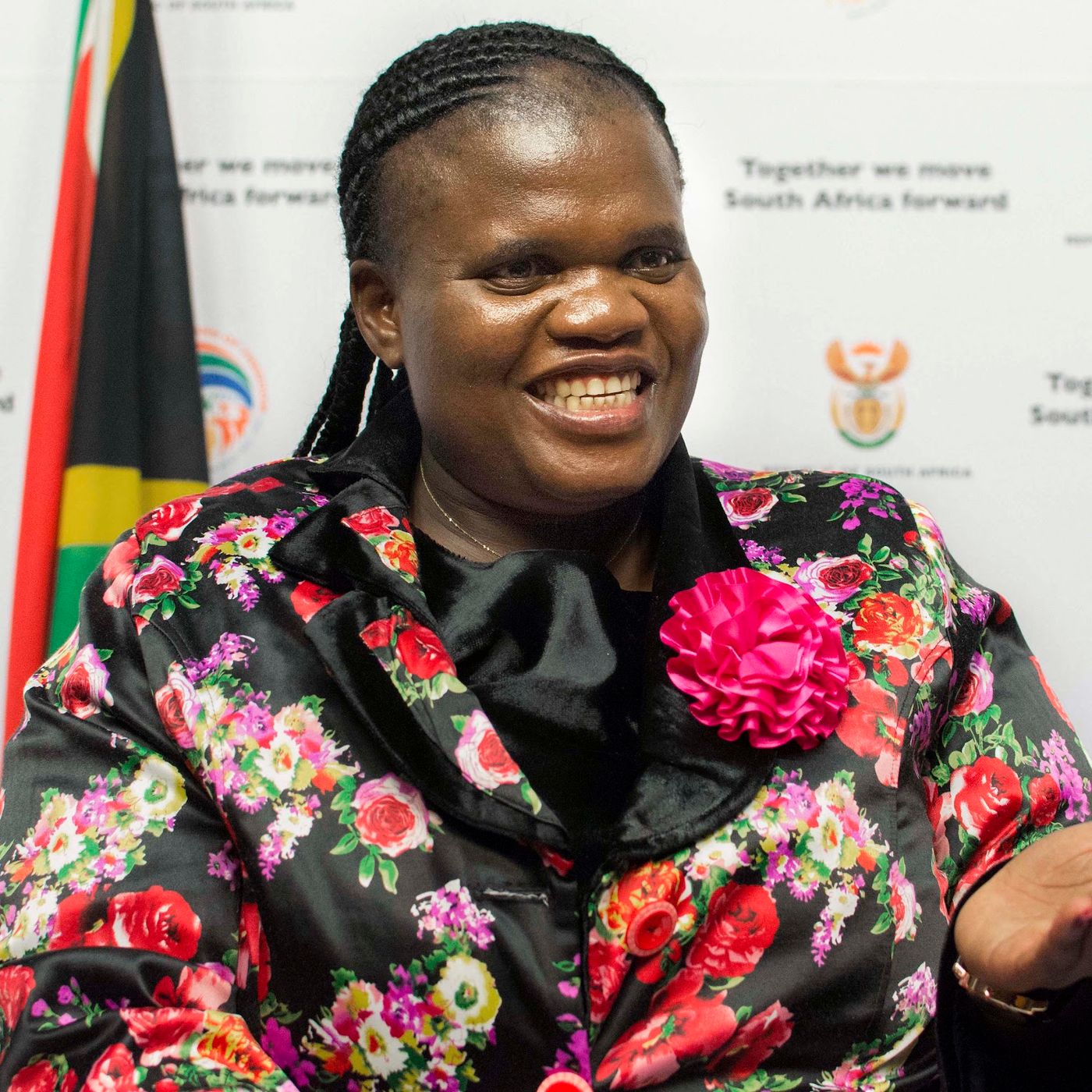 NATIONAL VELD AND FOREST FIRE AMENDMENT BILL - Ms Faith Muthambi episode artwork