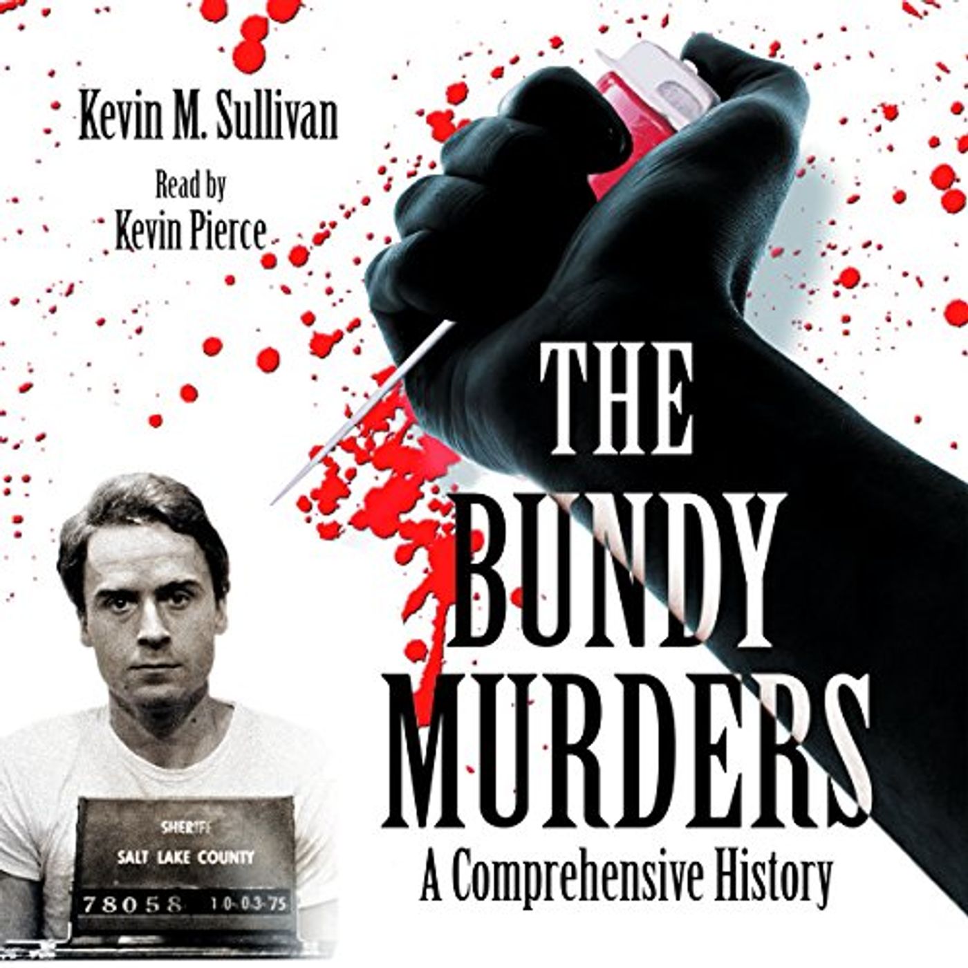 The Bundy Murders: A Comprehensive History Audiobook by Kevin M. Sullivan episode artwork