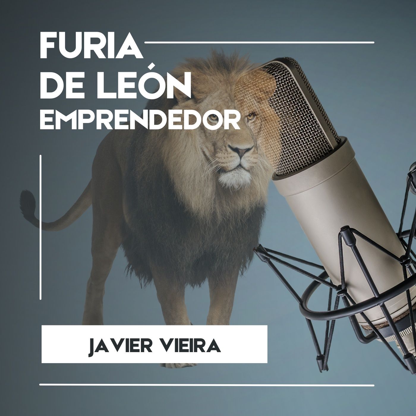 El león despierta emprendiendo