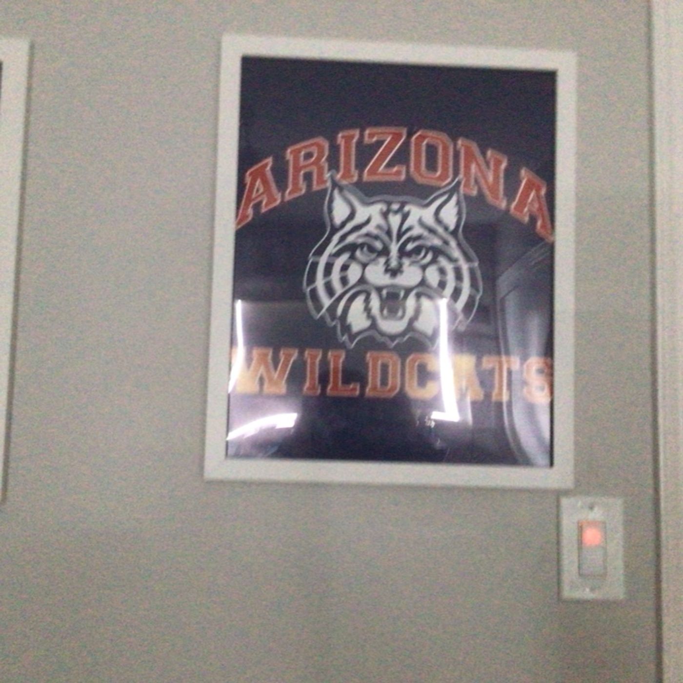 Wildcats stay Undfeated? featuring dean binder episode artwork