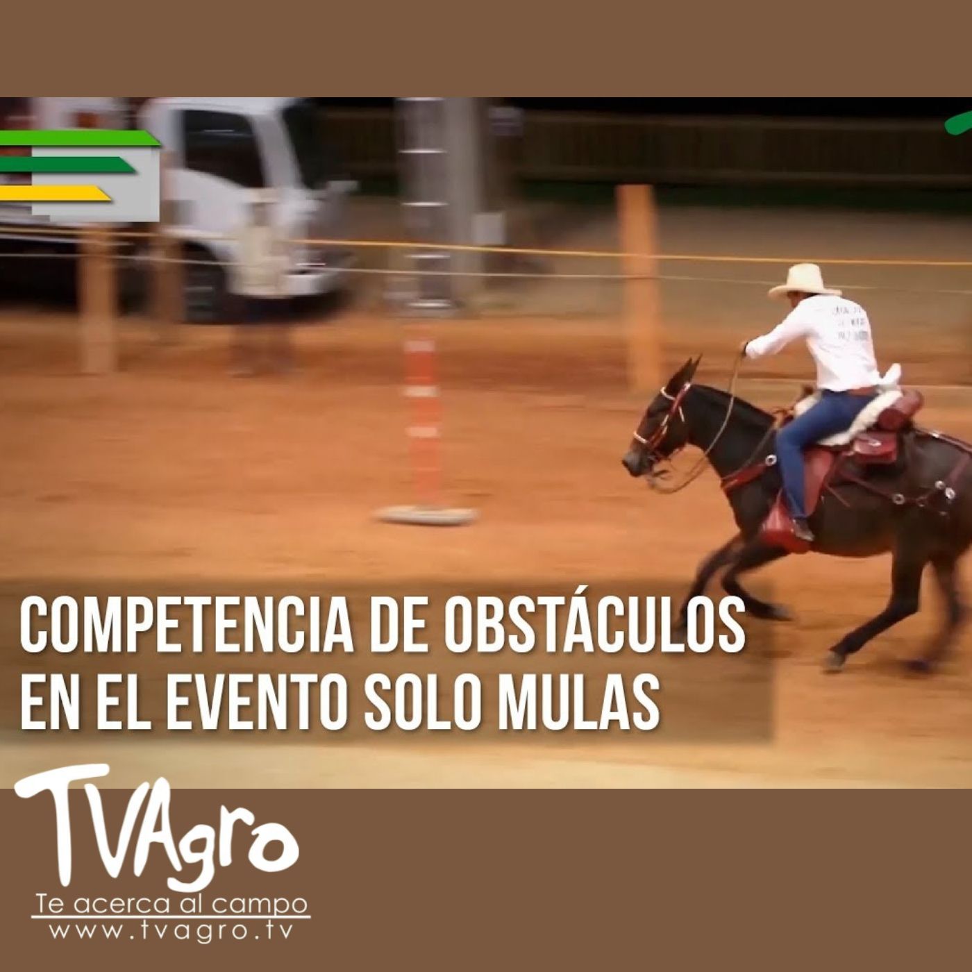 TV AGRO