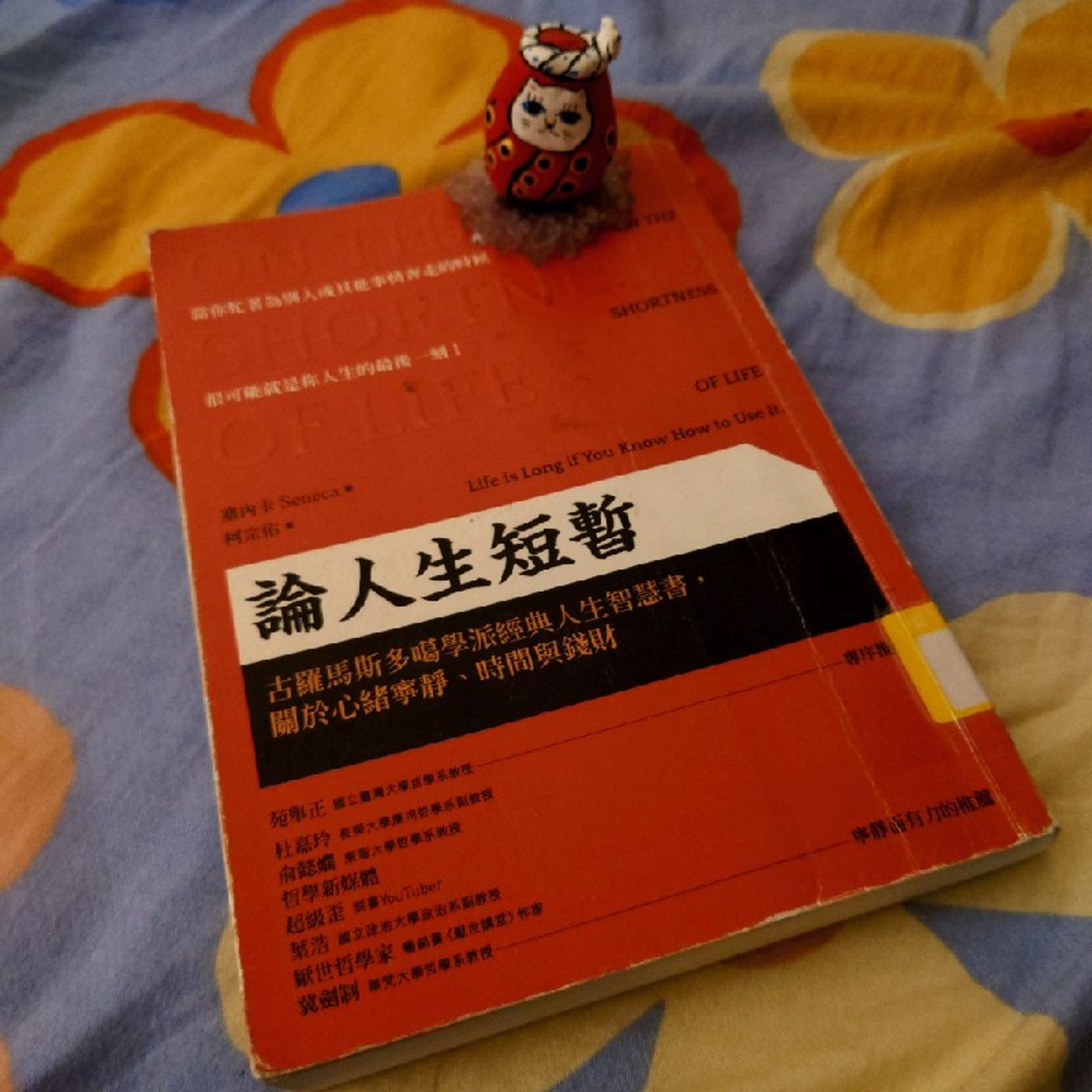 Diane\'s Tarot Diary: 我的塔羅日記