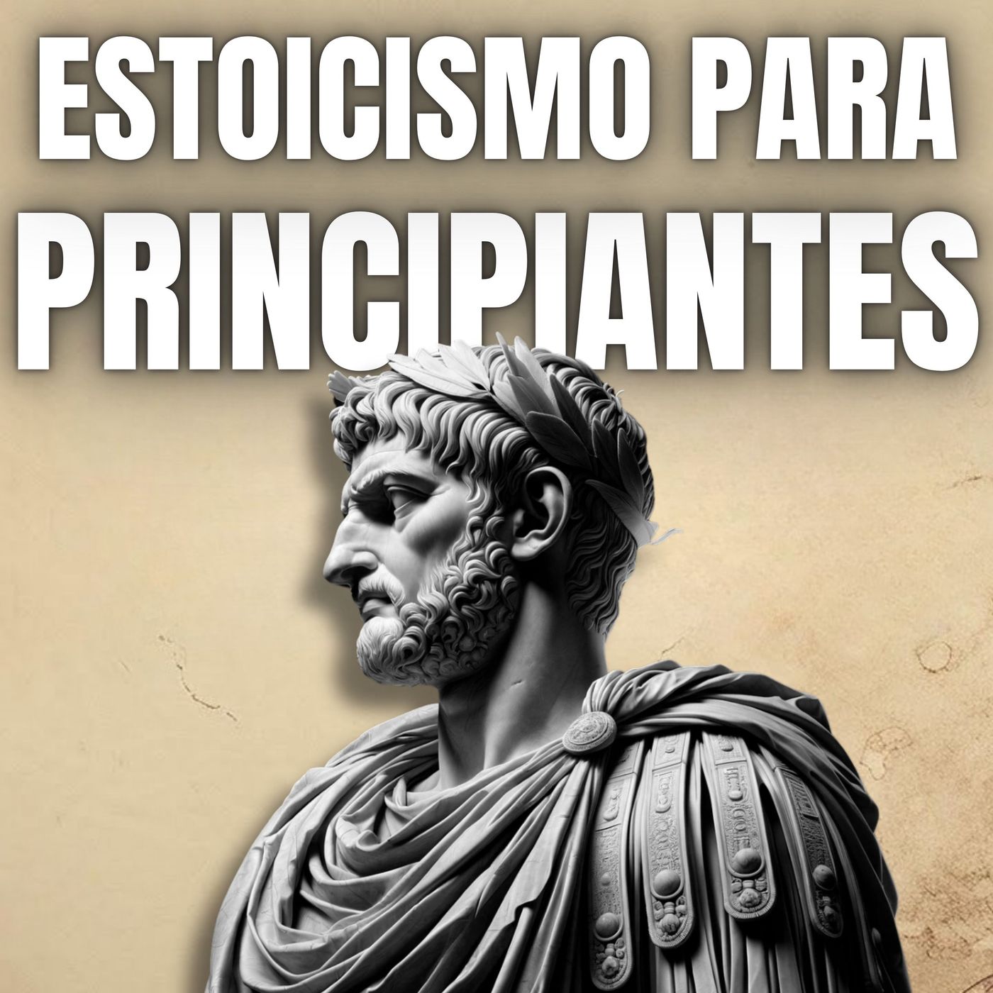 Estoicismo para Ganadores