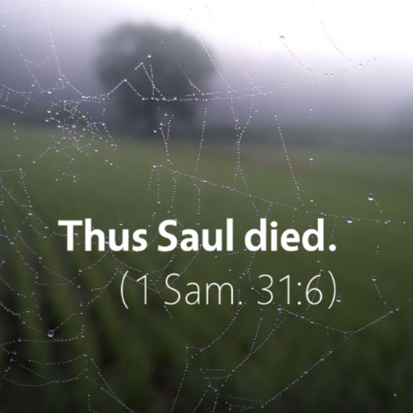 1st Samuel chapter 31
