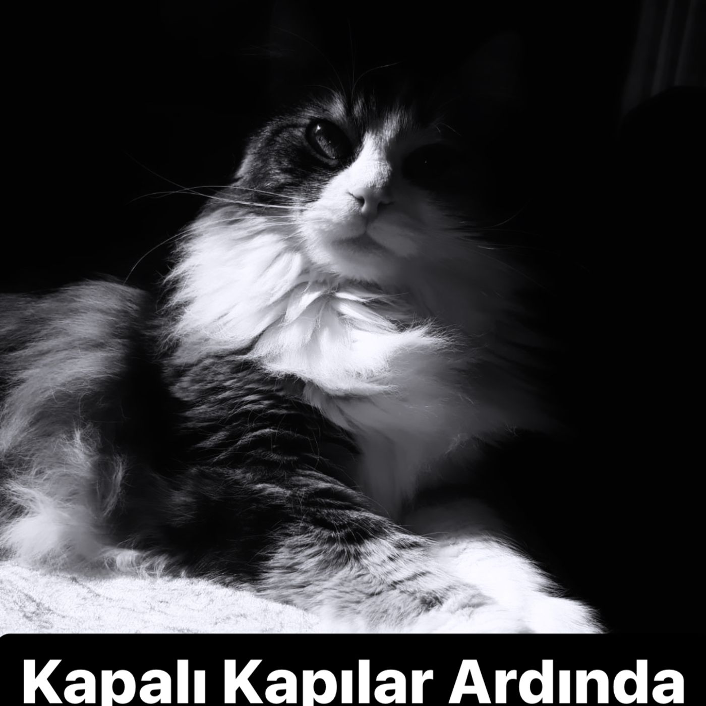 Kapalı Kapılar Ardında