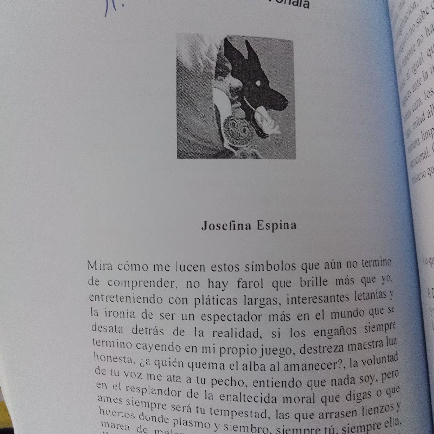 Ergo Rodrerich\'s tracks