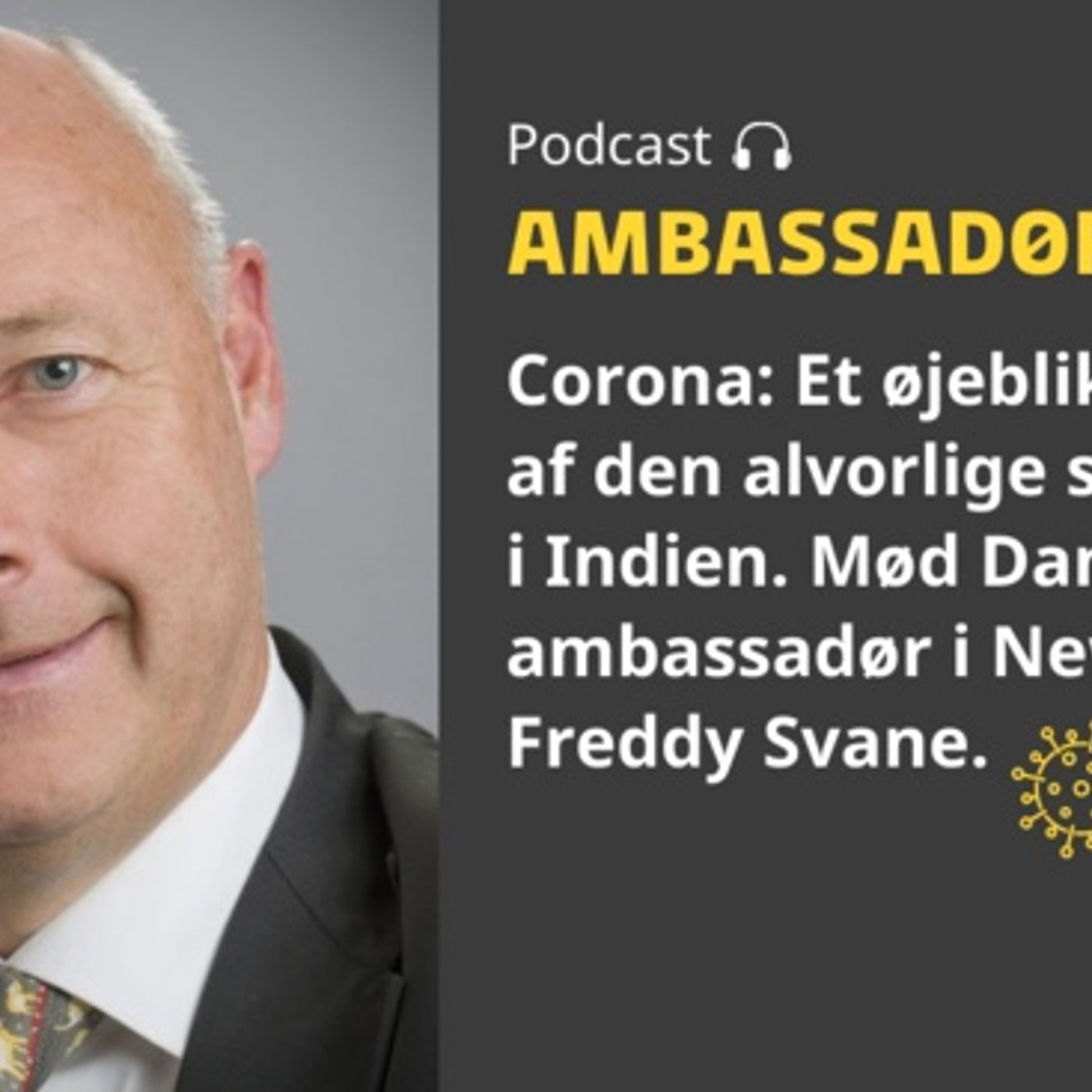 Ambassadørerne