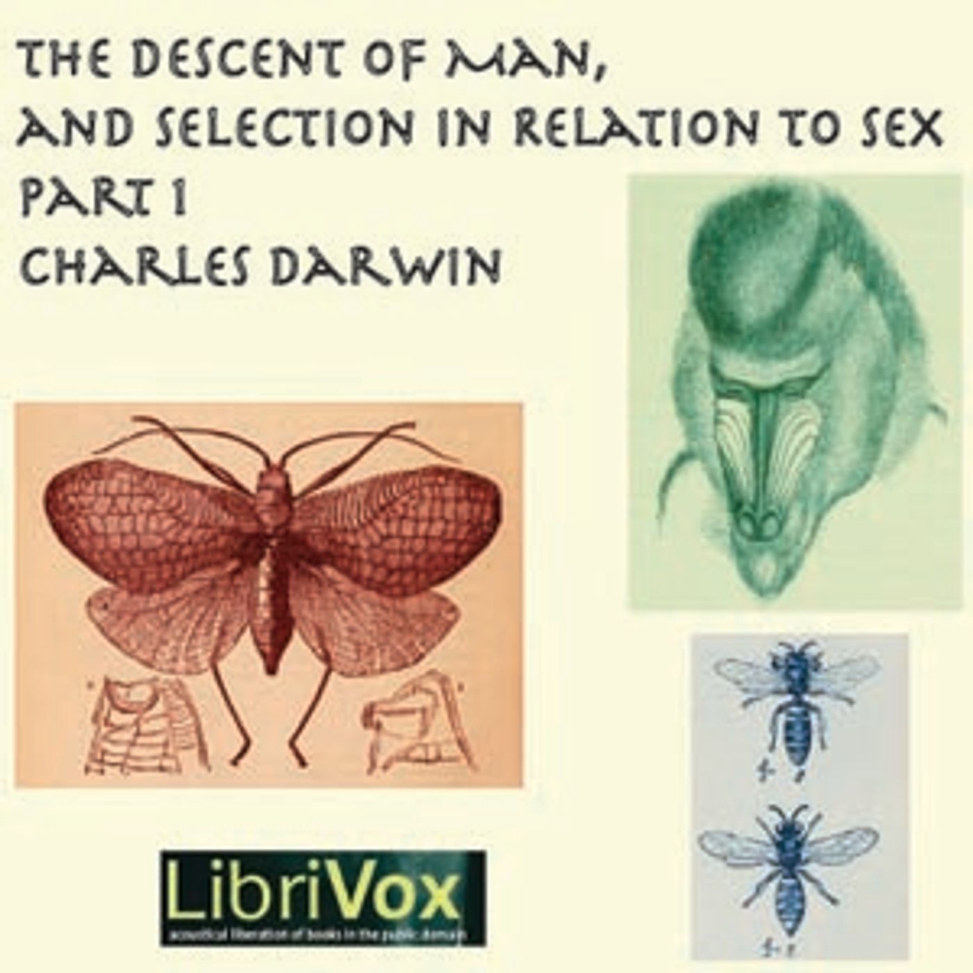 Charles Darwin - The Descent of Man and Selection in Relation to Sex, Part 1 cover art