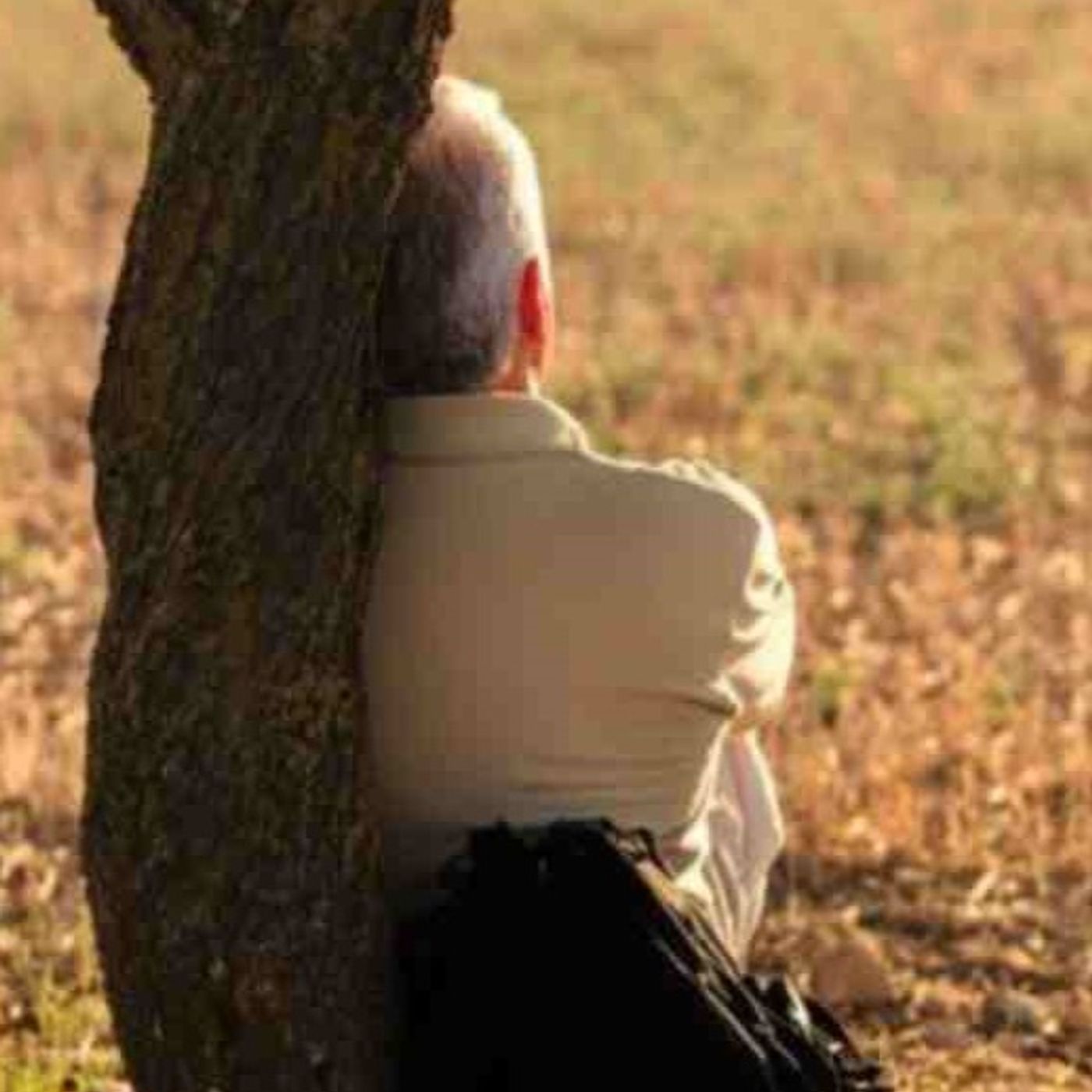 Dal Vangelo di oggi