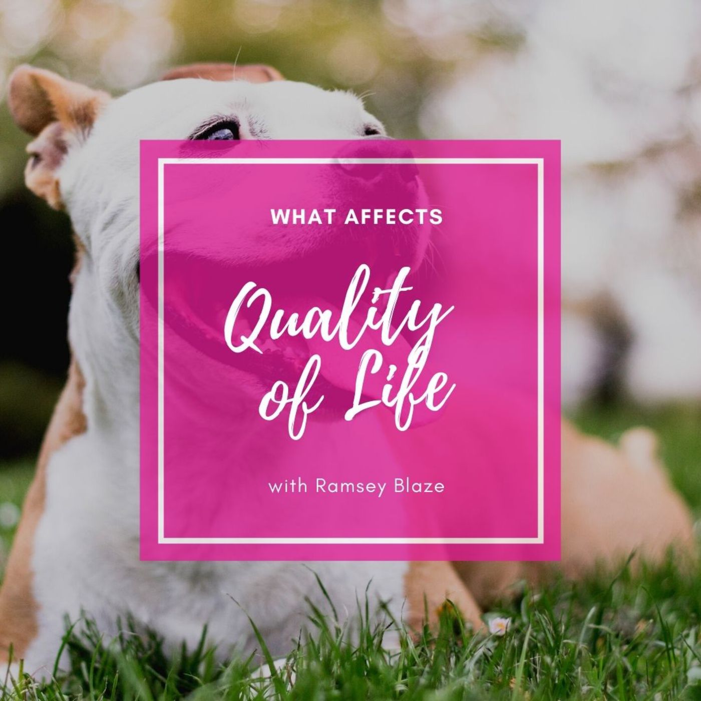 What Influences Quality of Life?