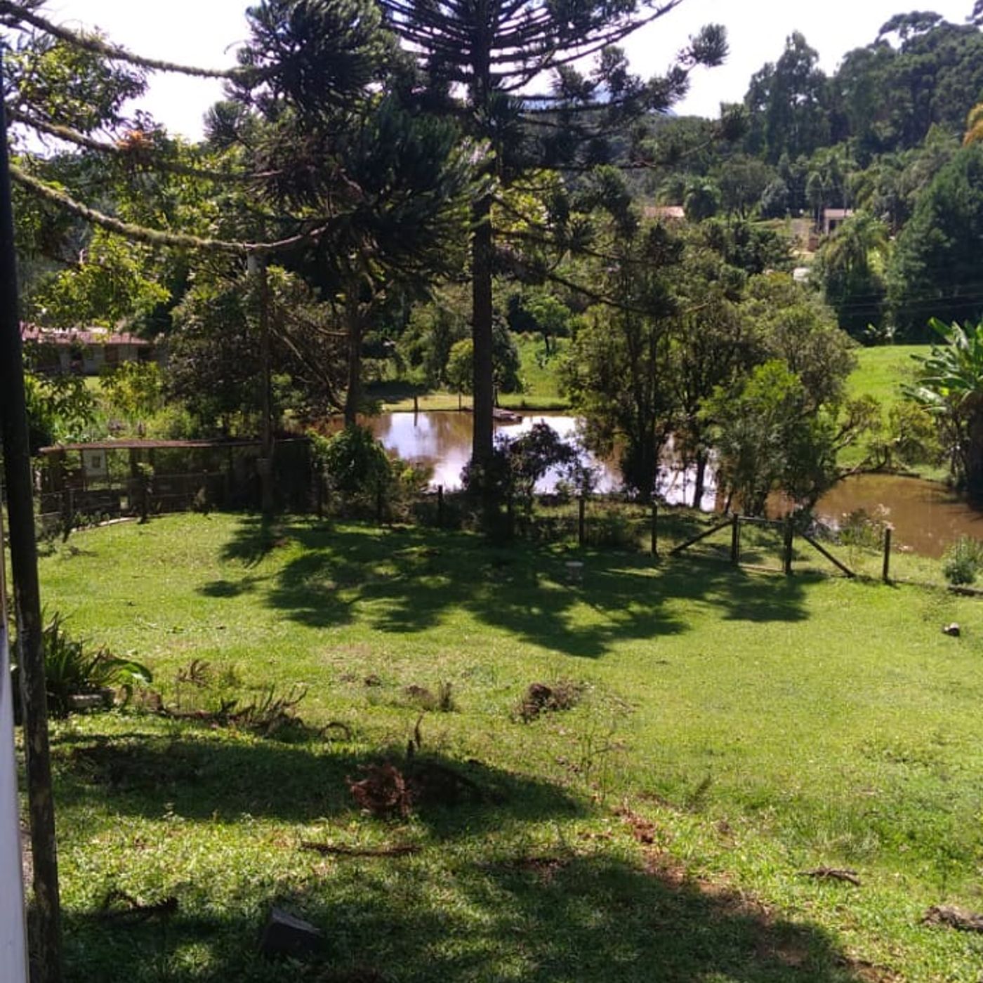Irradiação Meio Dia