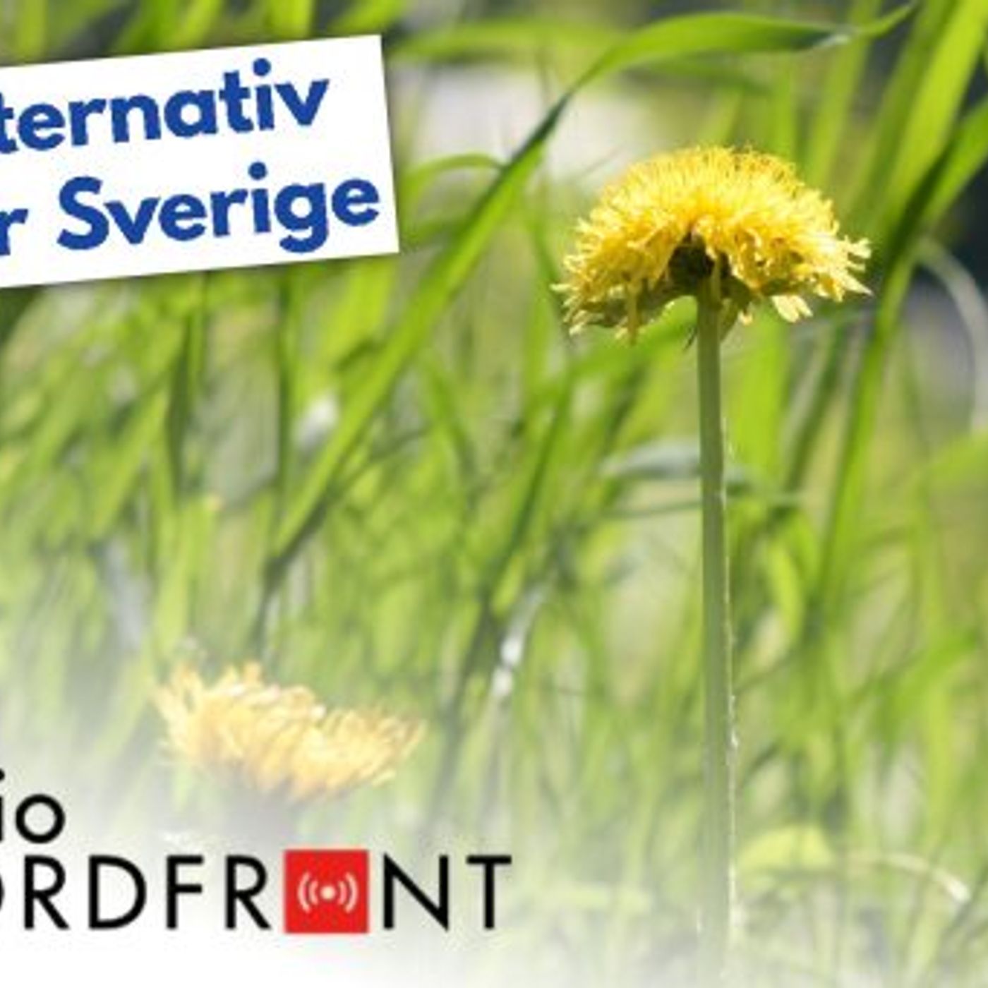 RN DIREKT#246: Hästskjuts, utedass och dödstraff SWISH: 0700749652