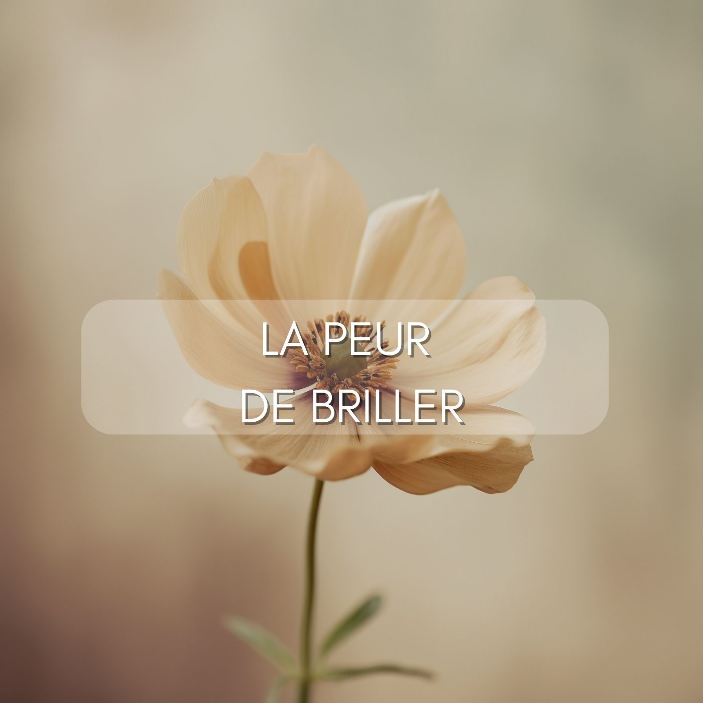 En équilibre Entrepreneuriat & Bien-être
