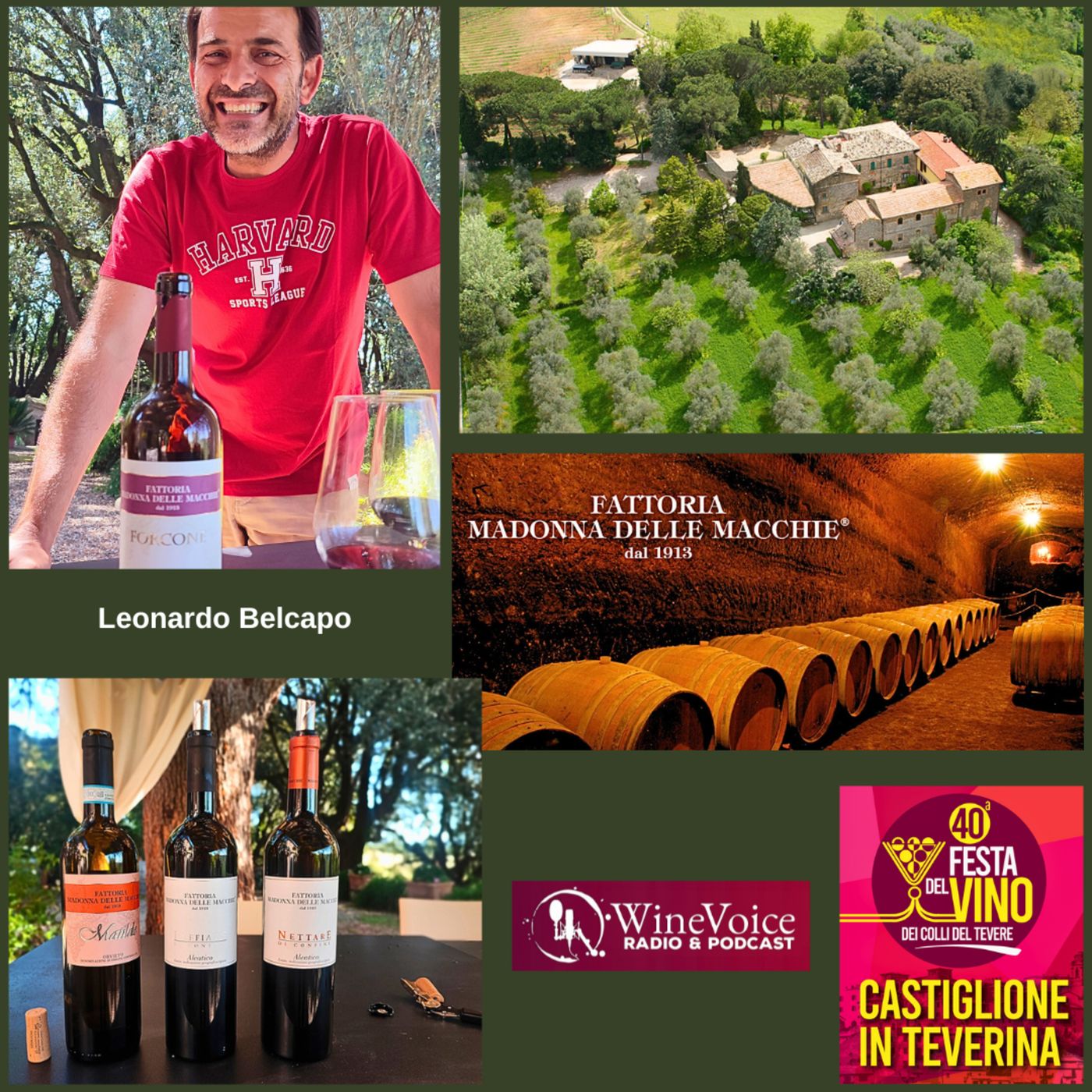Le Terre del Vino: 40° Festa del Vino Colli del Tevere - MADONNA DELLE MACCHIE (Lazio) episode artwork