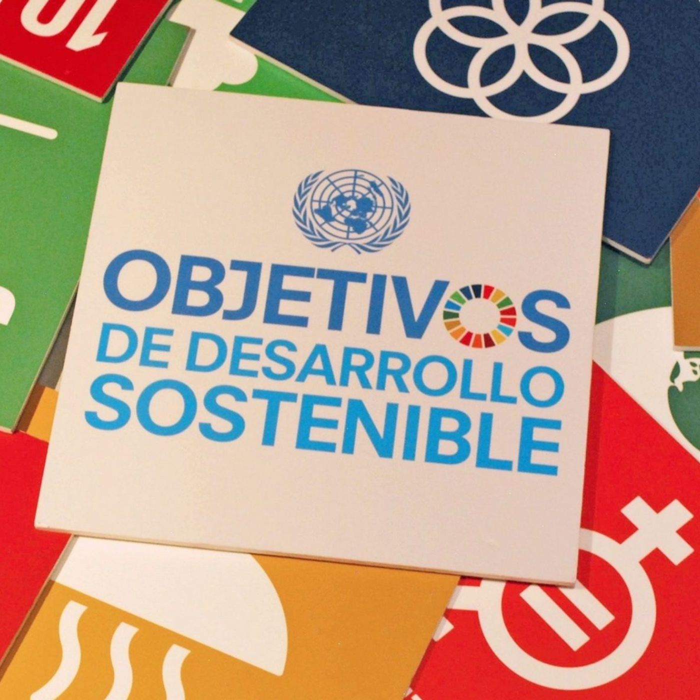 El logro de los objetivos de desarrollo sostenible en la República Dominicana. podcast artwork