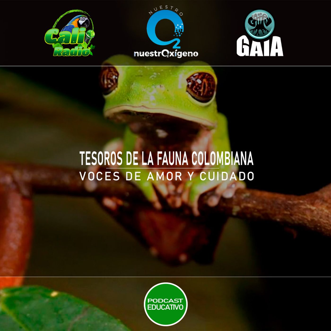 NUESTRO OXÍGENO Tesoros de la fauna colombiana, voces de amor y cuidado episode artwork