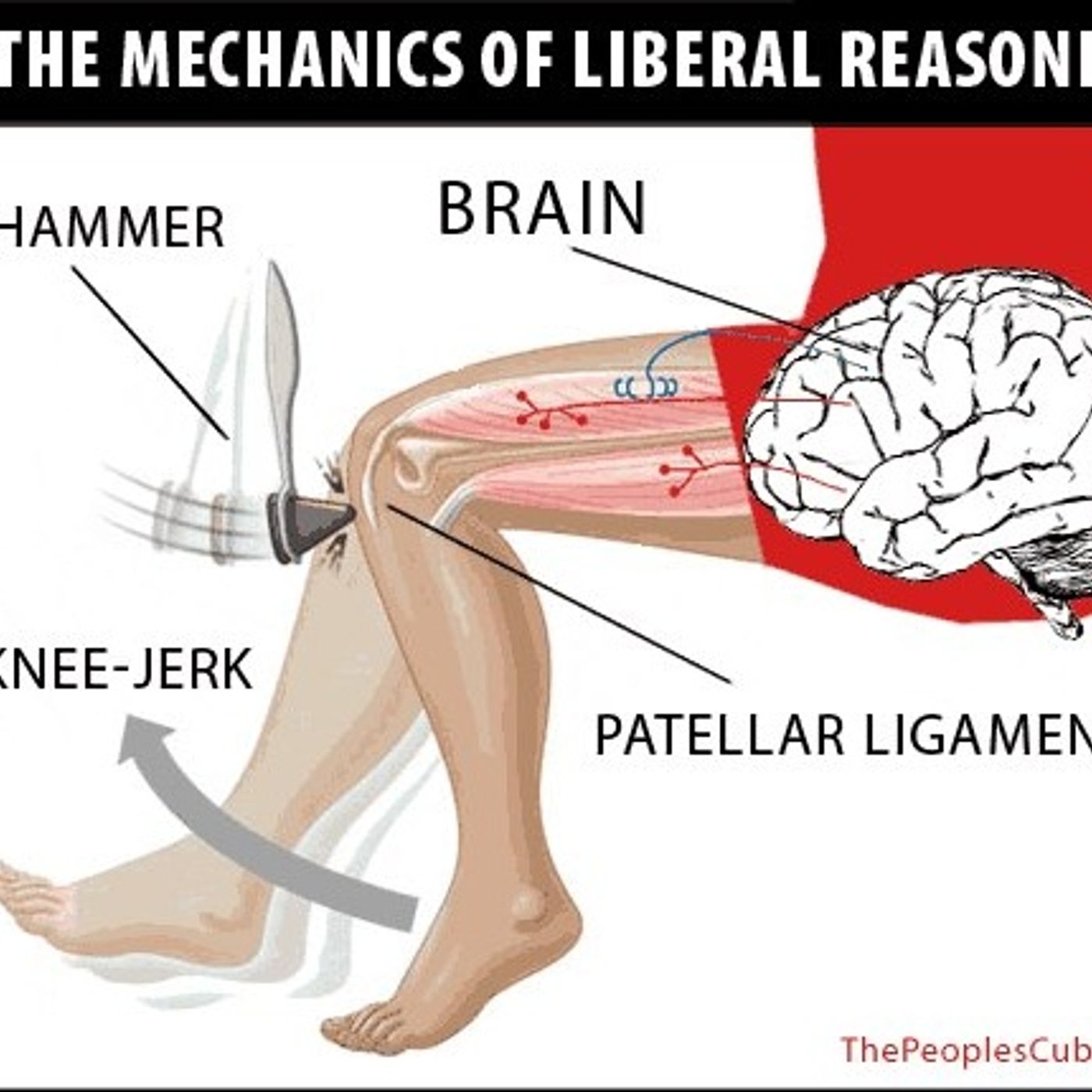 Conservatives & Moderates