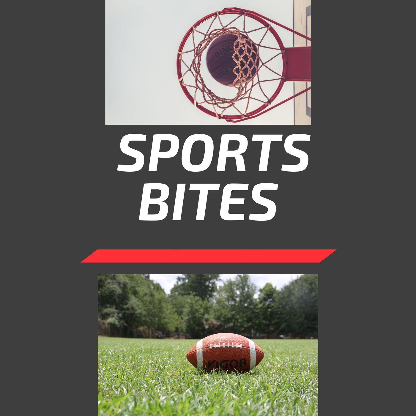 Sports Bites