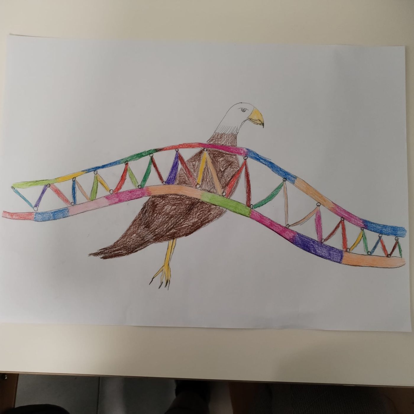 PODCAST SCIENZE-ESTRAZIONE DEL DNA episode artwork