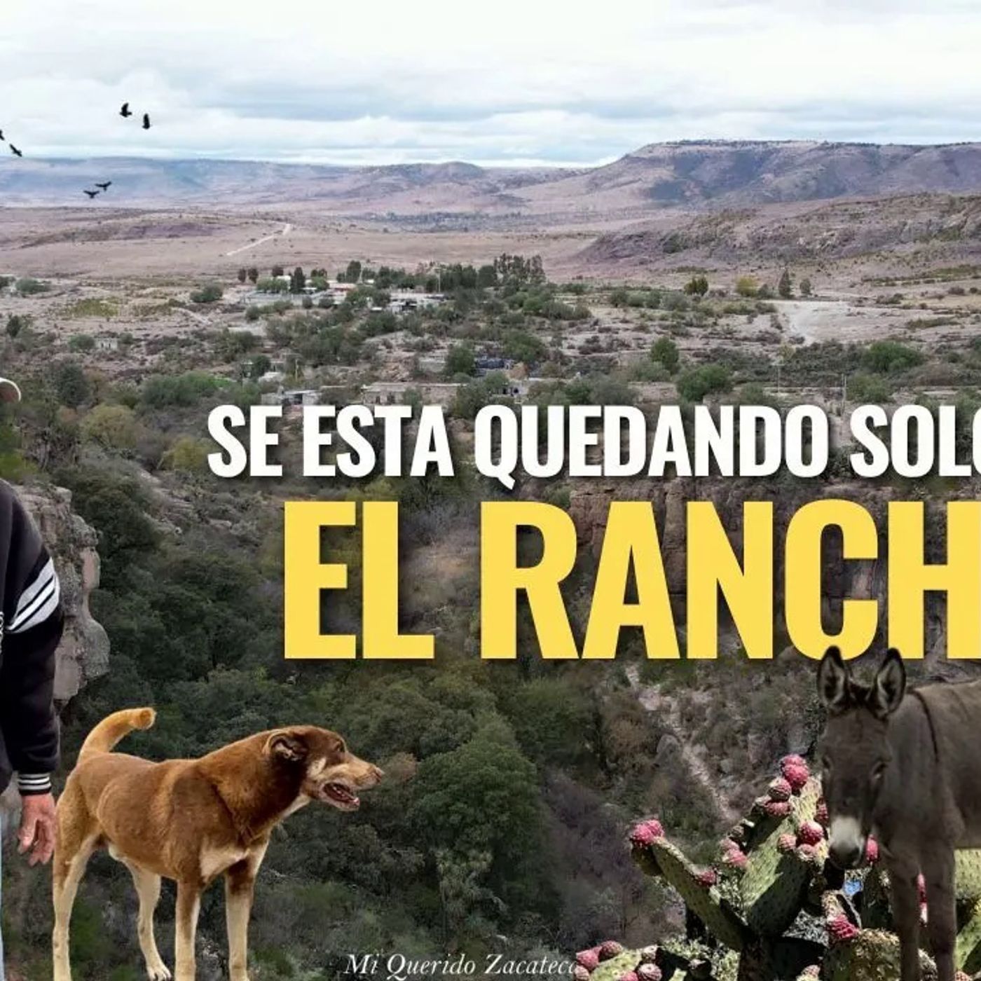 _LLEGO A TENER 100 NIÑOS LA ESCUELA HOY YA ESTA ABANDONADA_