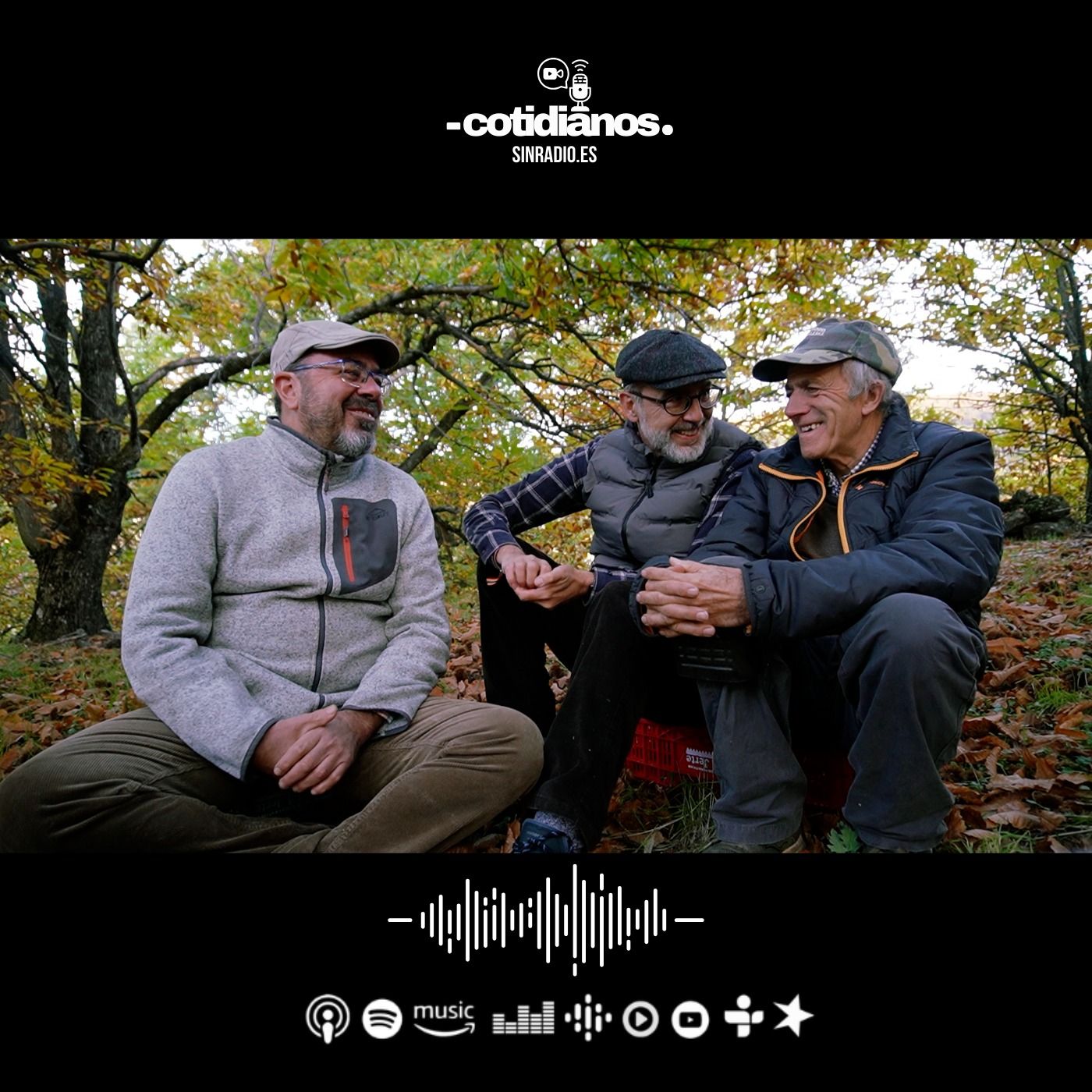 Cotidianos. Territorios que alimentan: Entrevista con Ángel Calle Collado. Capítulo 42 | T3