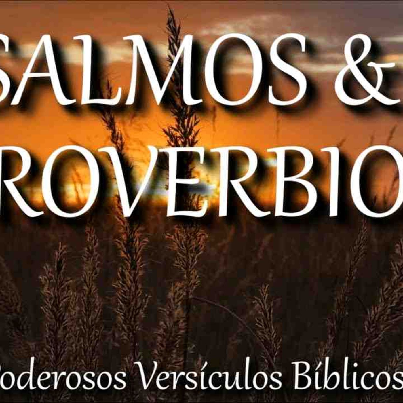 SALMOS Y PROVERBIOS te darán paz y sabiduría _ La Biblia hablada _ audio Bible(MP3_160K) episode artwork