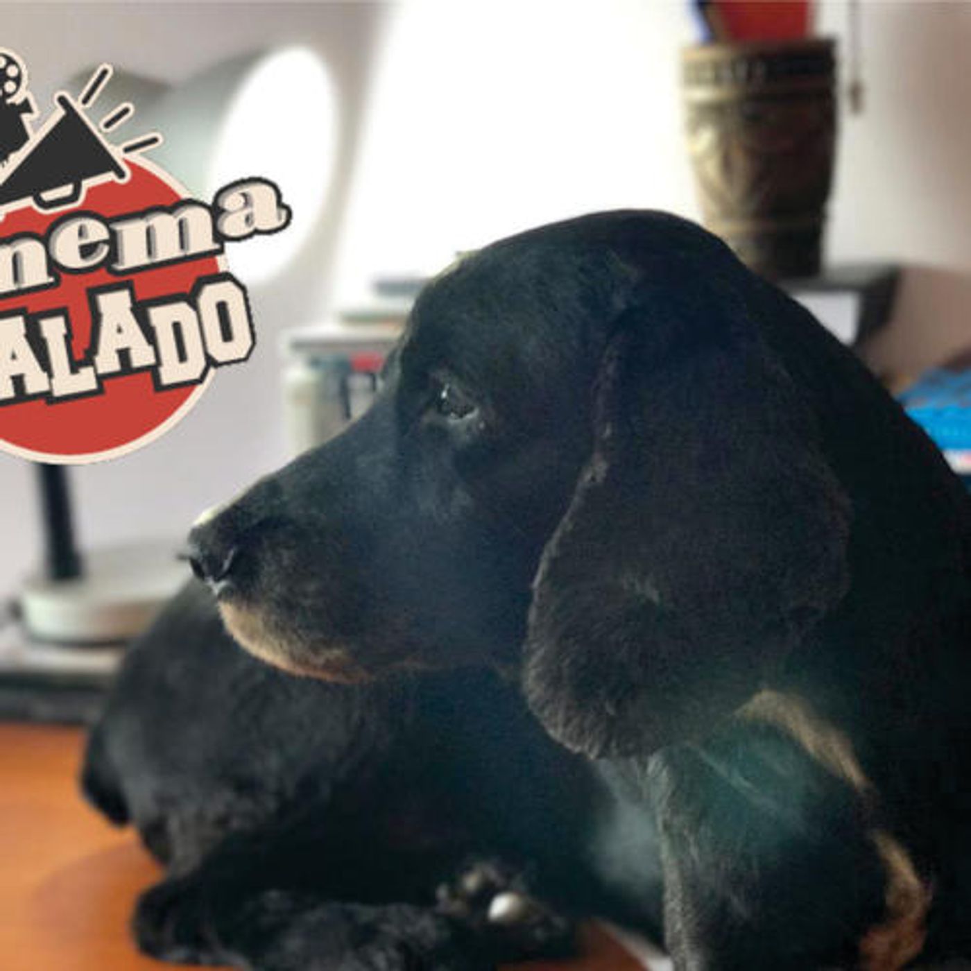 Cinema Falado - Rádio Executiva - 22 de Junho de 2019 episode artwork