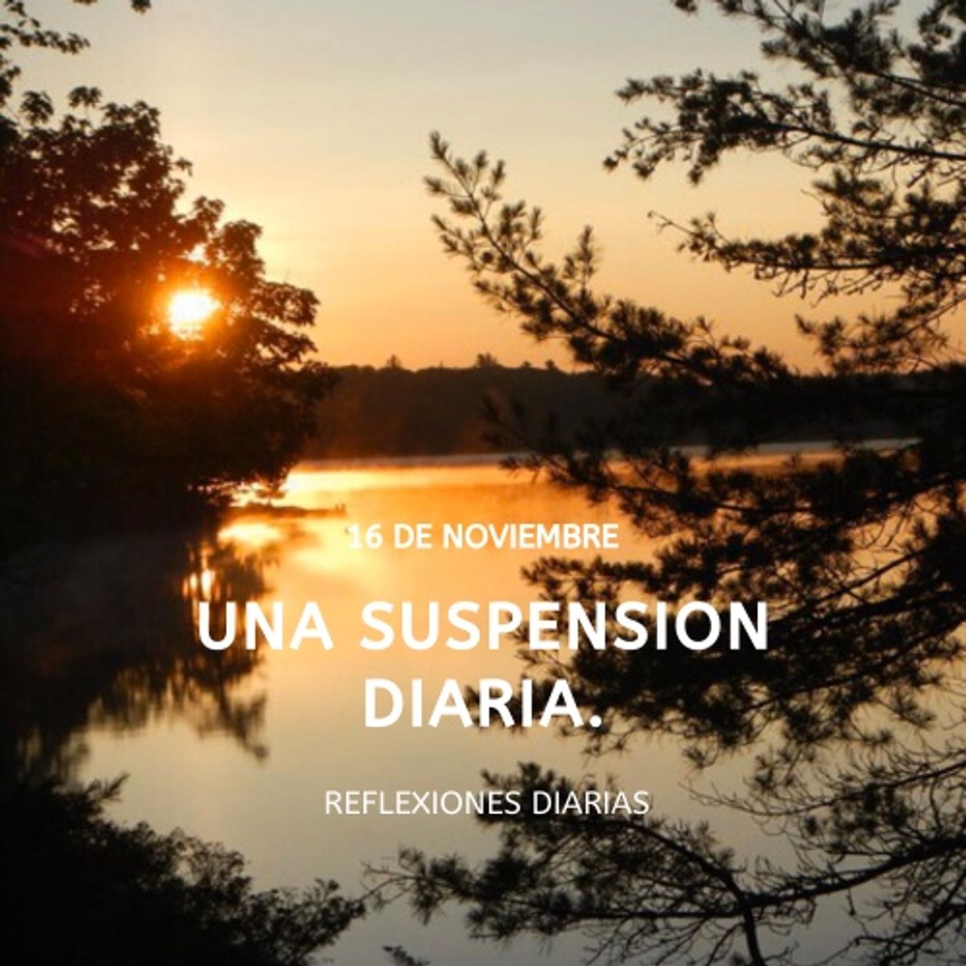 Reflexiones Diarias