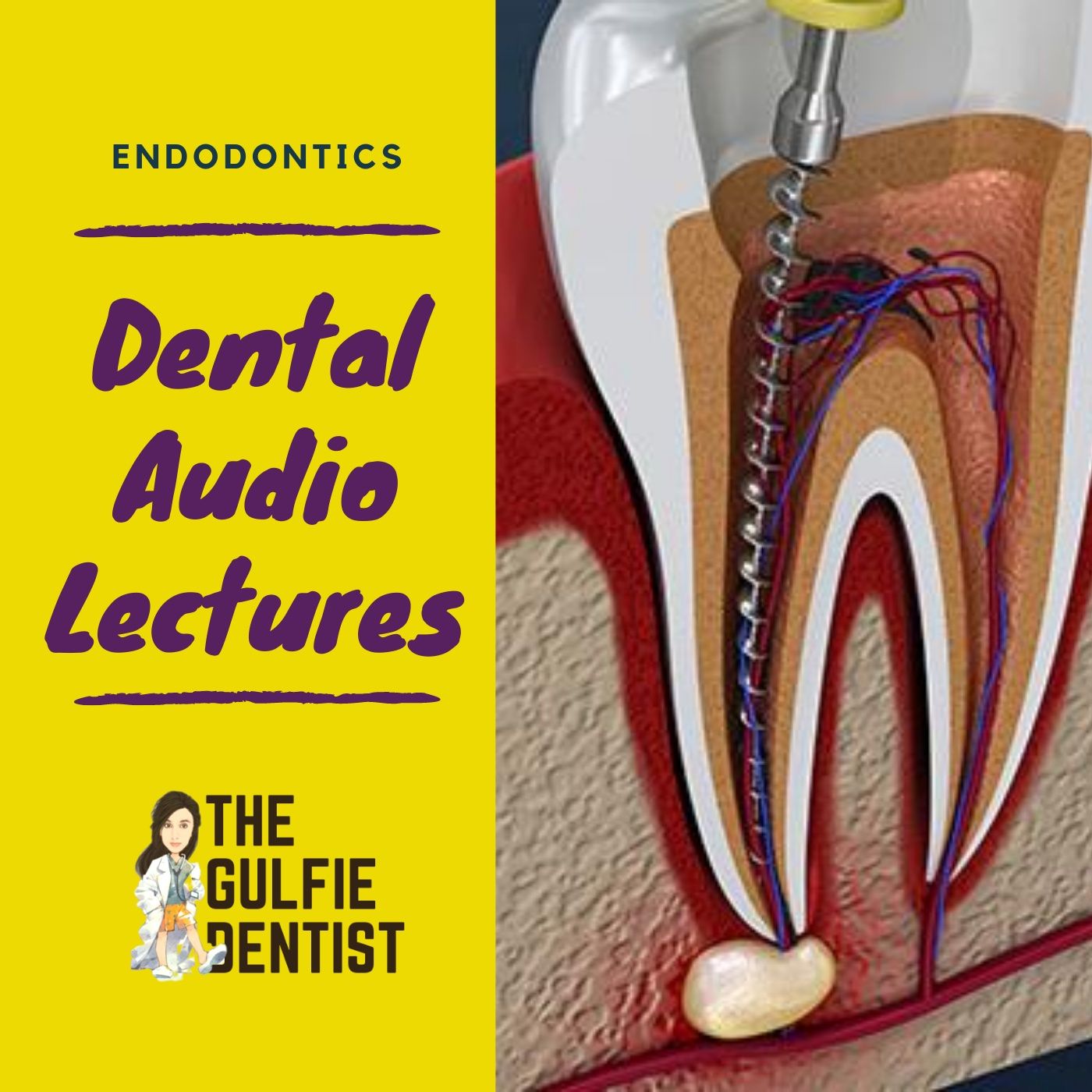 Endodontics