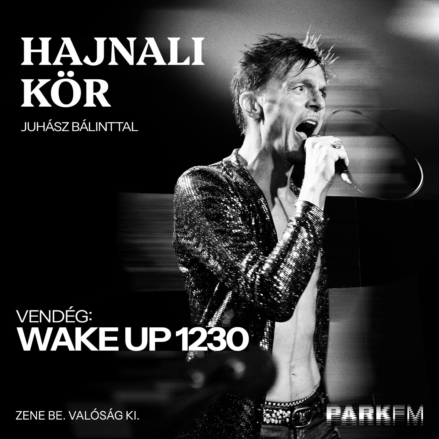 Baksa-Soós Attila: Pia/hús nélkül a vérképem egy 35 évesé | Park FM Hajnali Kör Juhász Bálinttal episode artwork