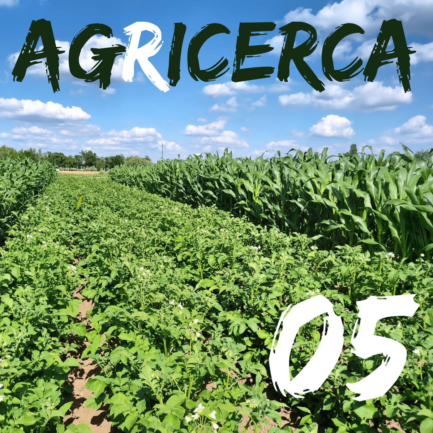 agRicerca