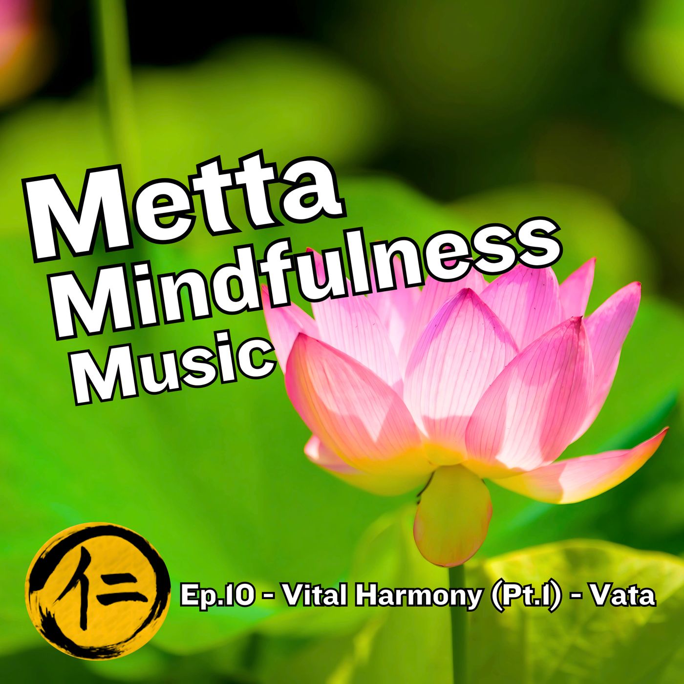 Ep.10 – Vital Harmony (Pt.1) – Vata
