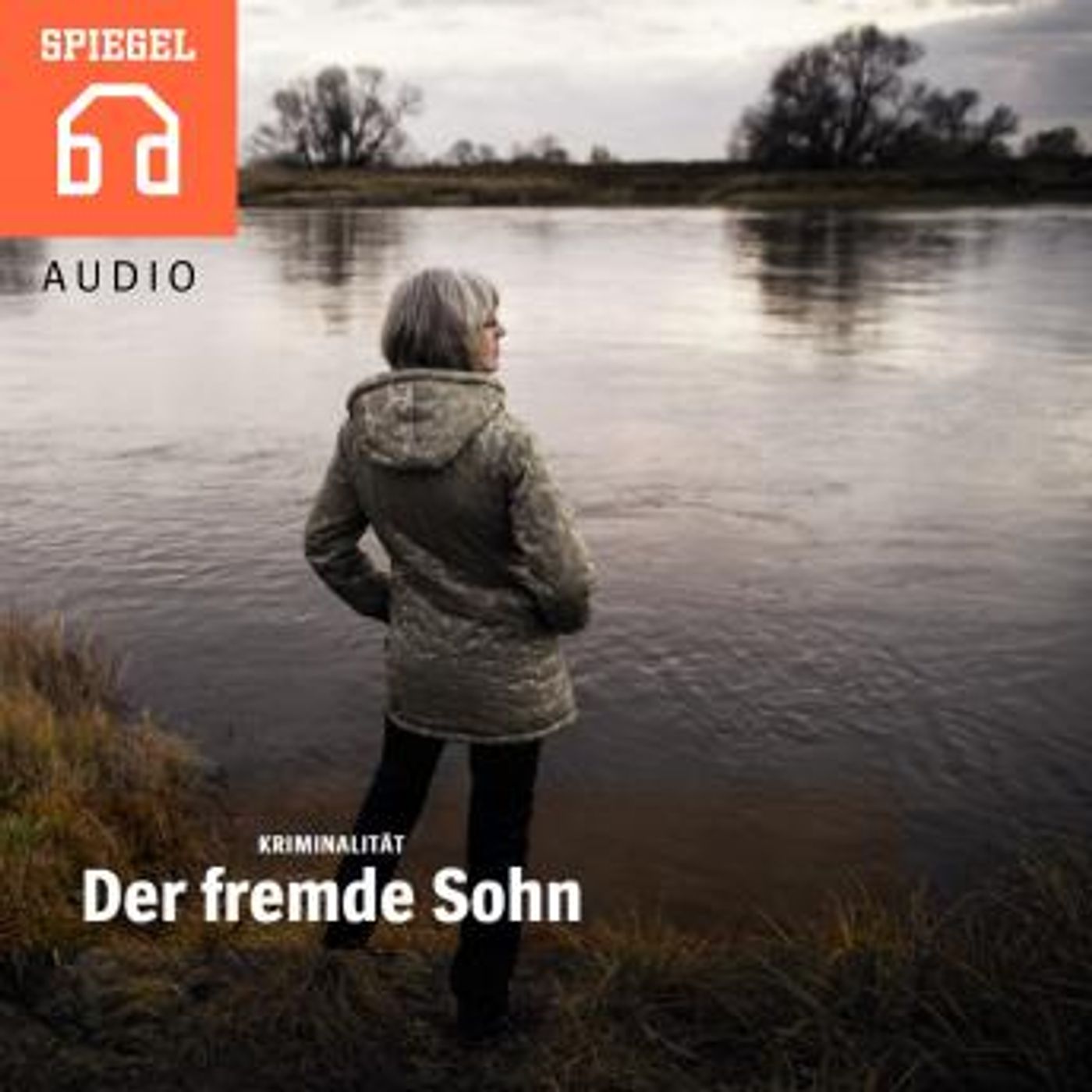 [German] - Der fremde Sohn: Wie geht eine Mutter mit dem Grauen um? by Der Spiegel episode artwork