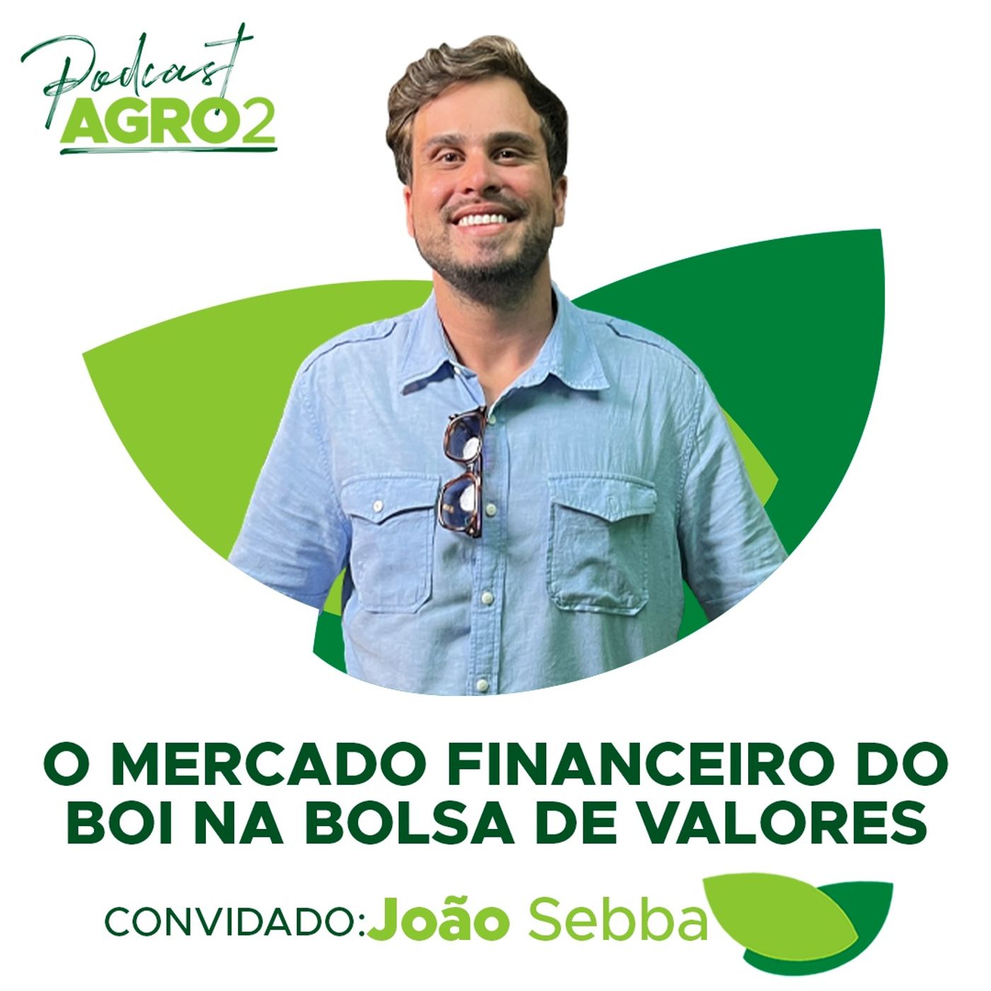 Como operar na bolsa de valores e diminuir riscos da pecuária de corte no mercado físico #190 episode artwork