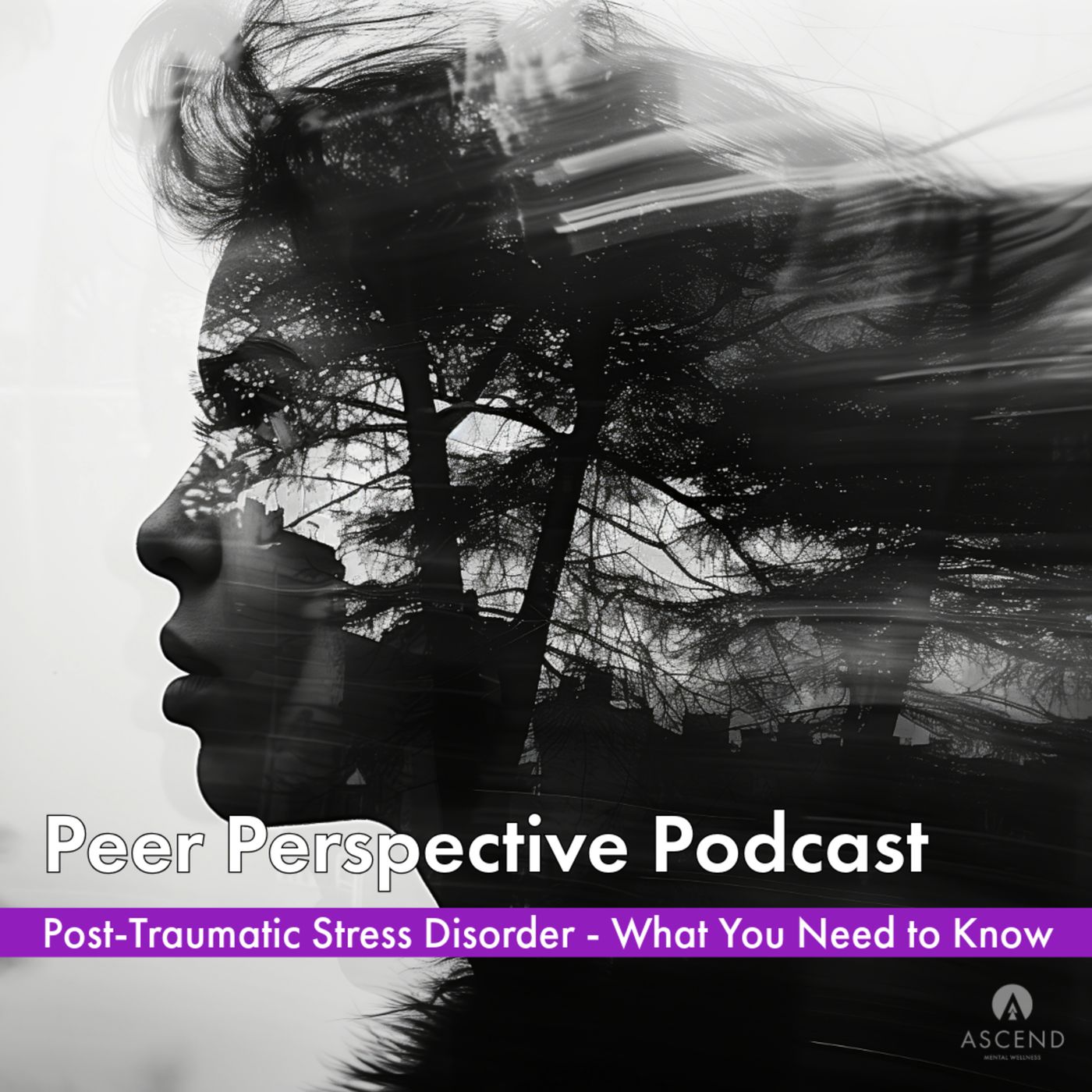 Peer Perspective