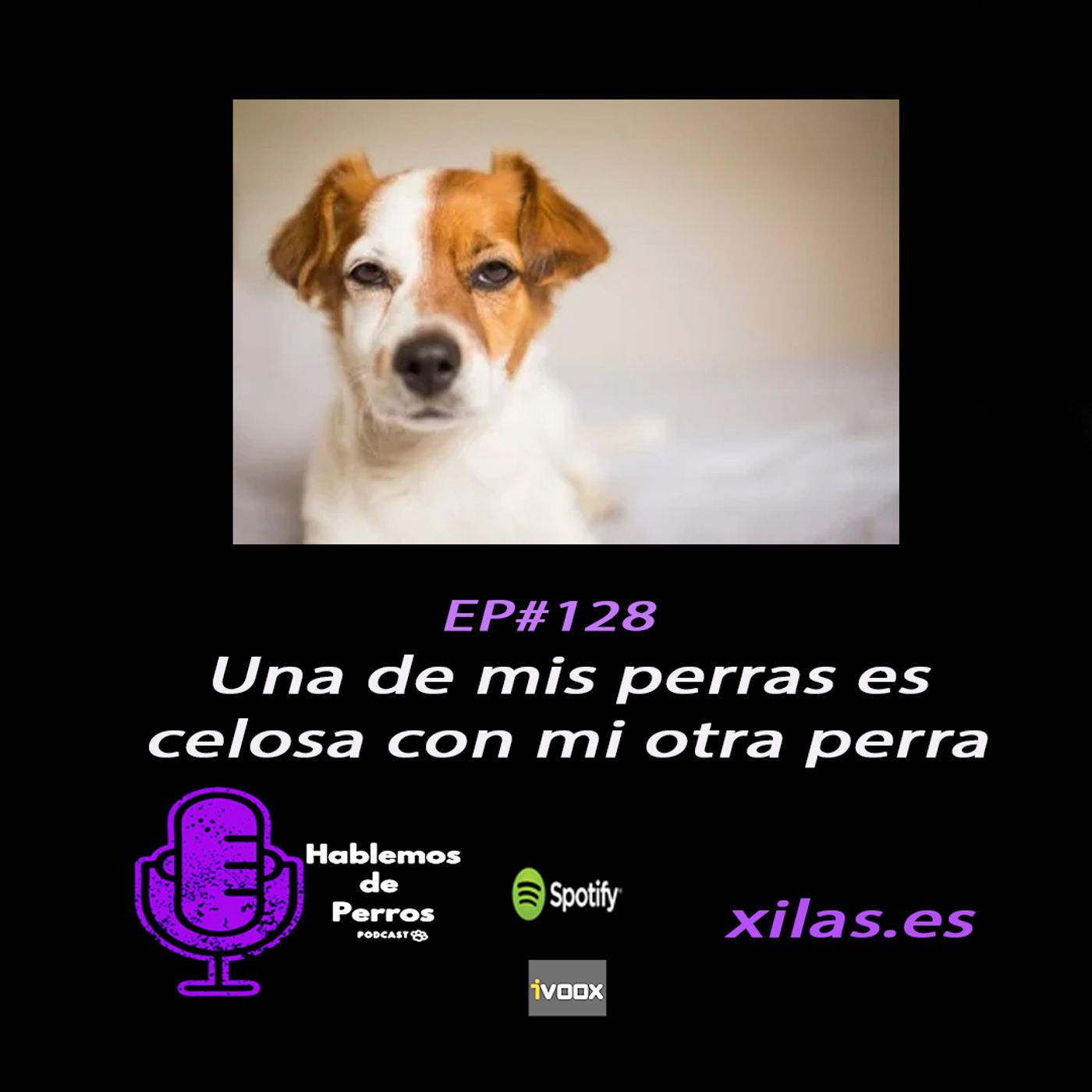 Hablemos de perros
