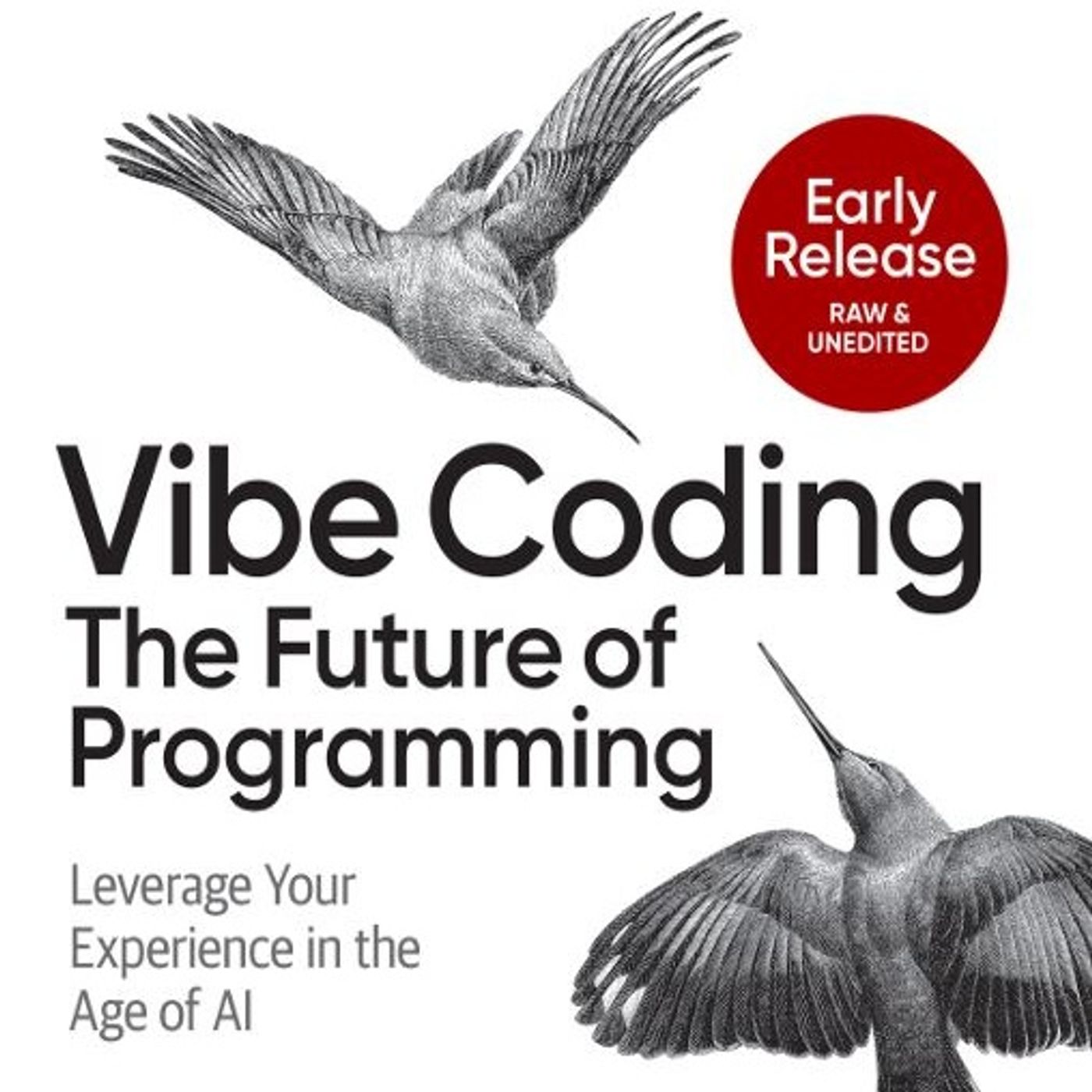 Vibe Coding: The Future of Programming