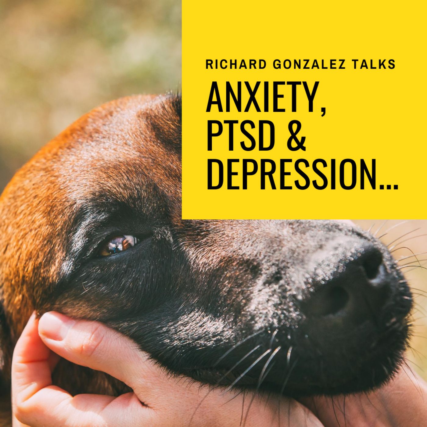 Anxiety, Depression & PTSD...