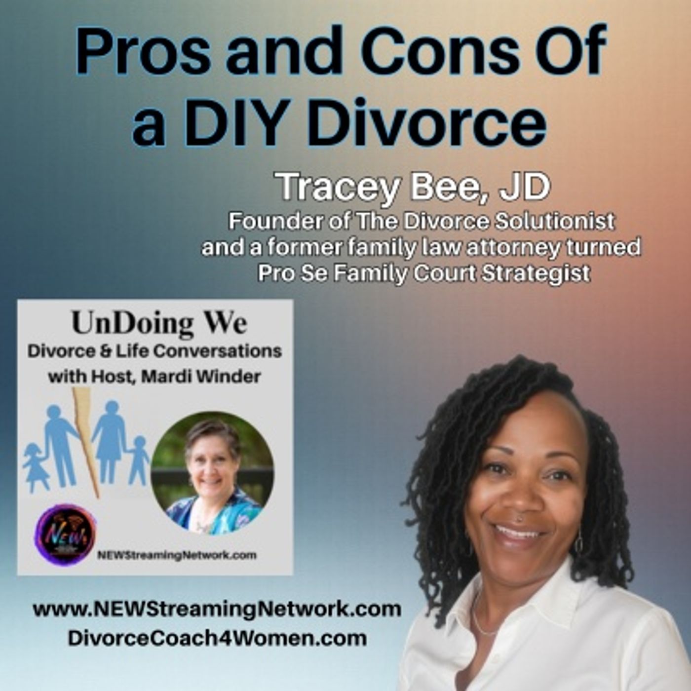 Pros and Cons Of a DIY Divorce with Guest Tracey Bee JD episode artwork
