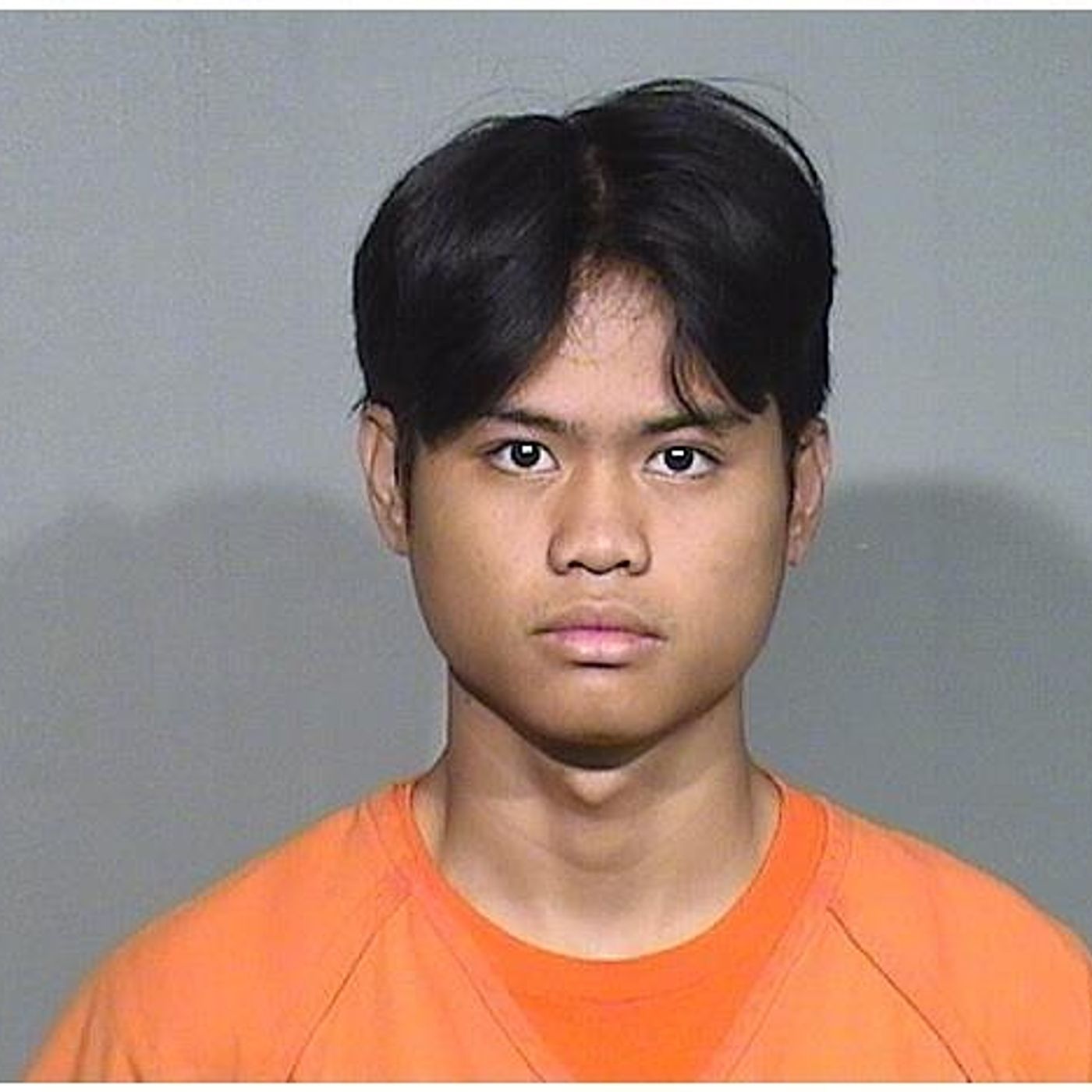 Harvard man accused of possessing hundreds of videos of children pleads guilty to single image, gets 7 years episode artwork