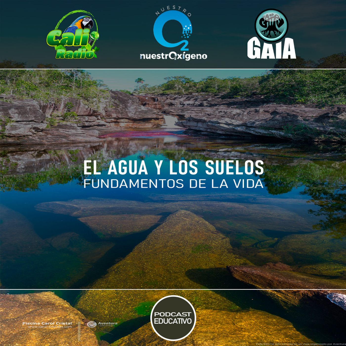 NUESTRO OXÍGENO El agua y los suelos, fundamentos de la vida episode artwork
